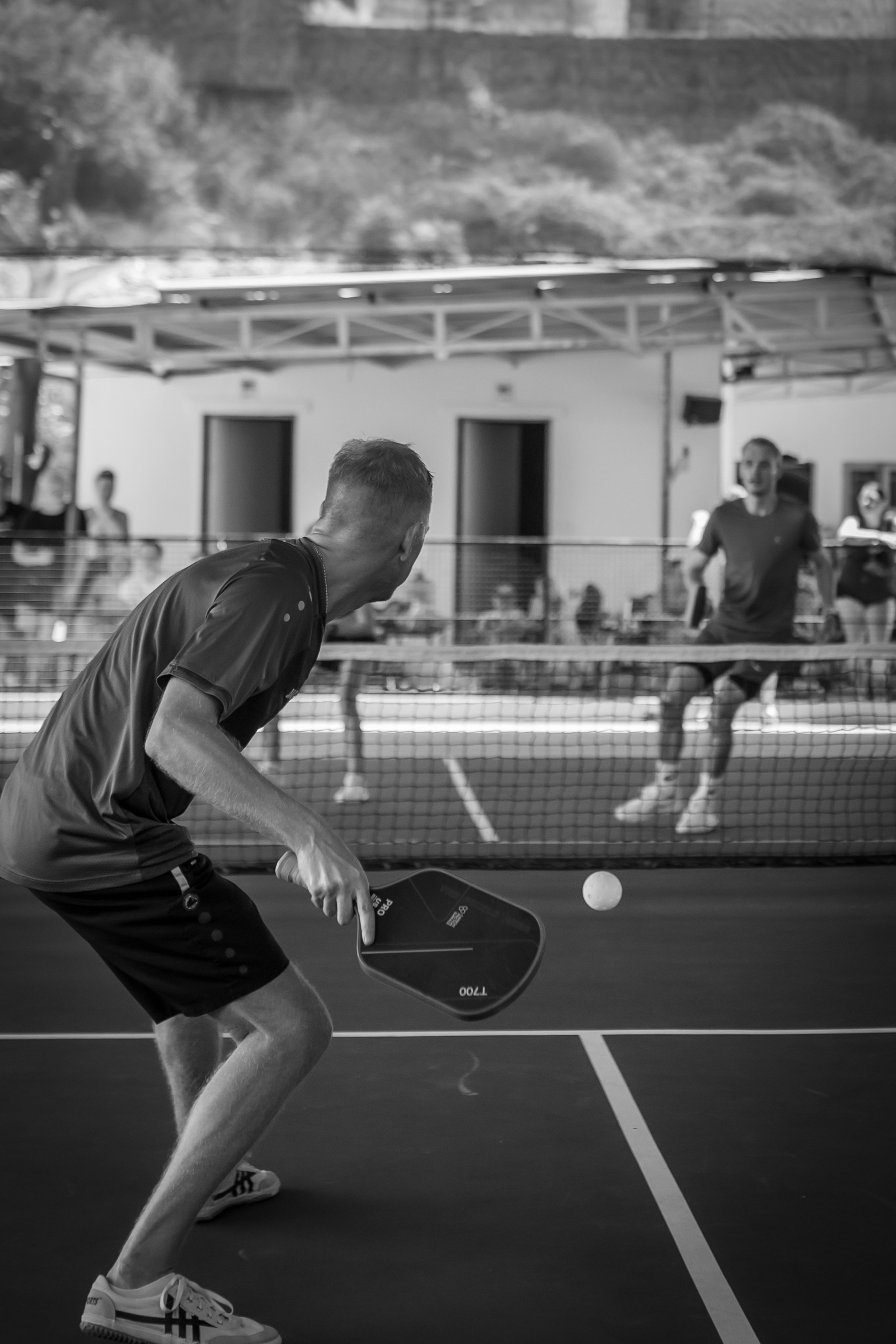 Турнир Pickleball. Твой фотограф — Полосатый кот