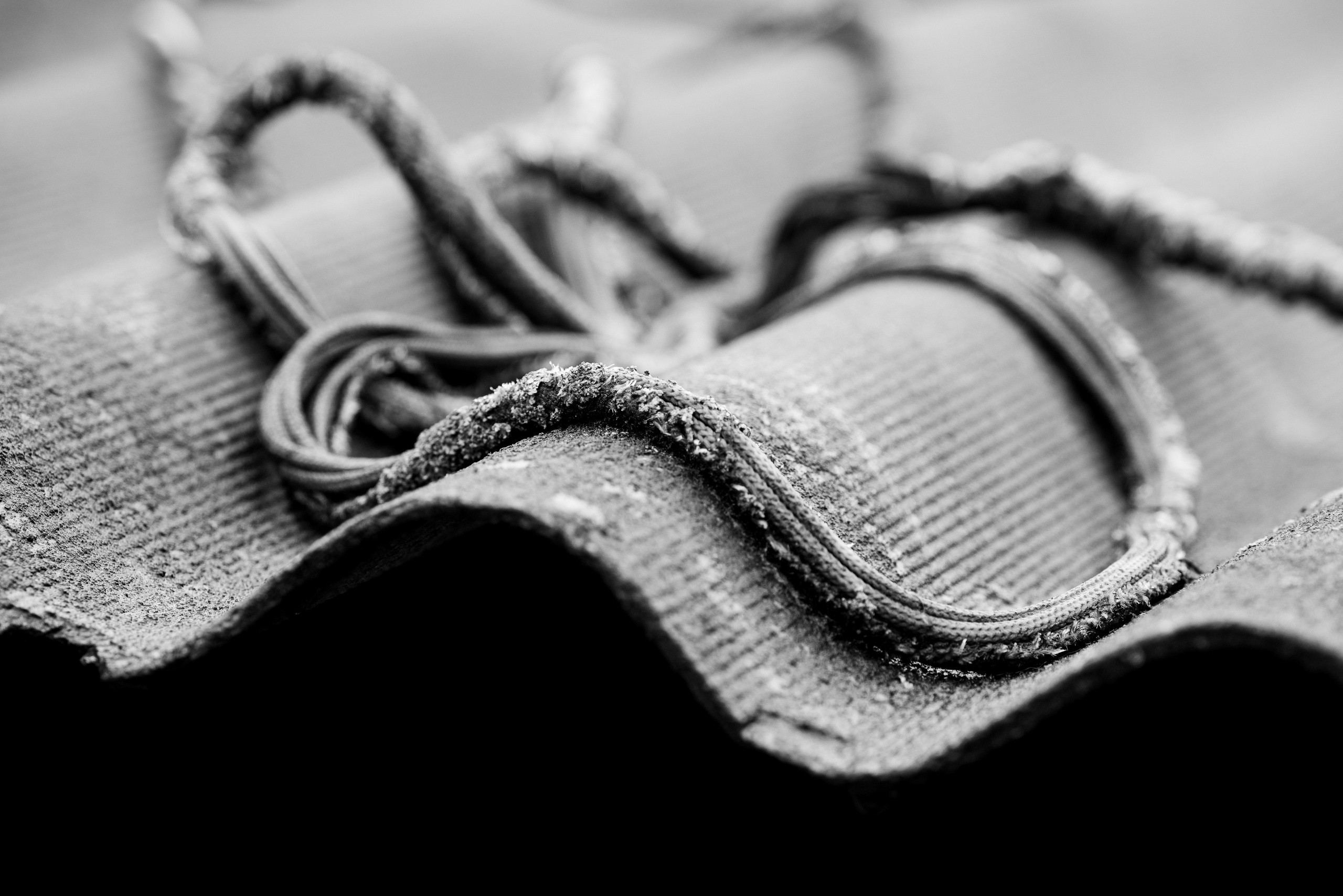 Деревня / Юг. Фотограф Антон Денисенко: Портрет, Документалистика, Пейзаж. Москва