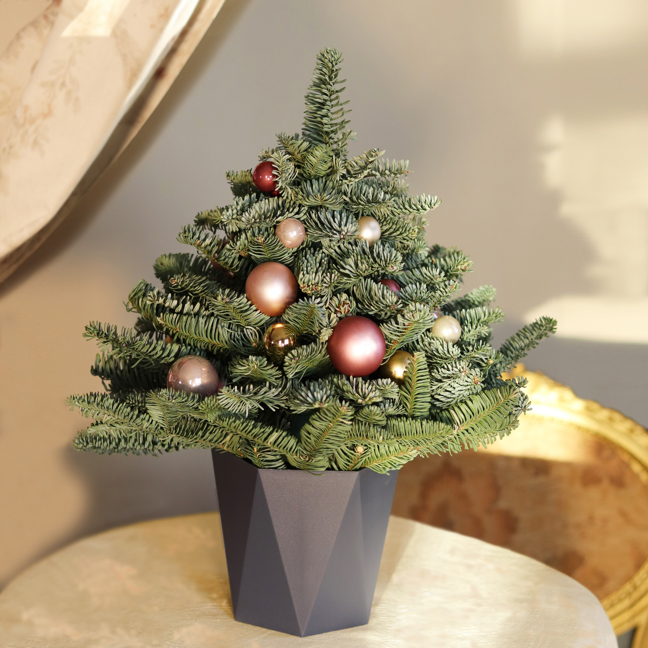 Нобилис. River clover