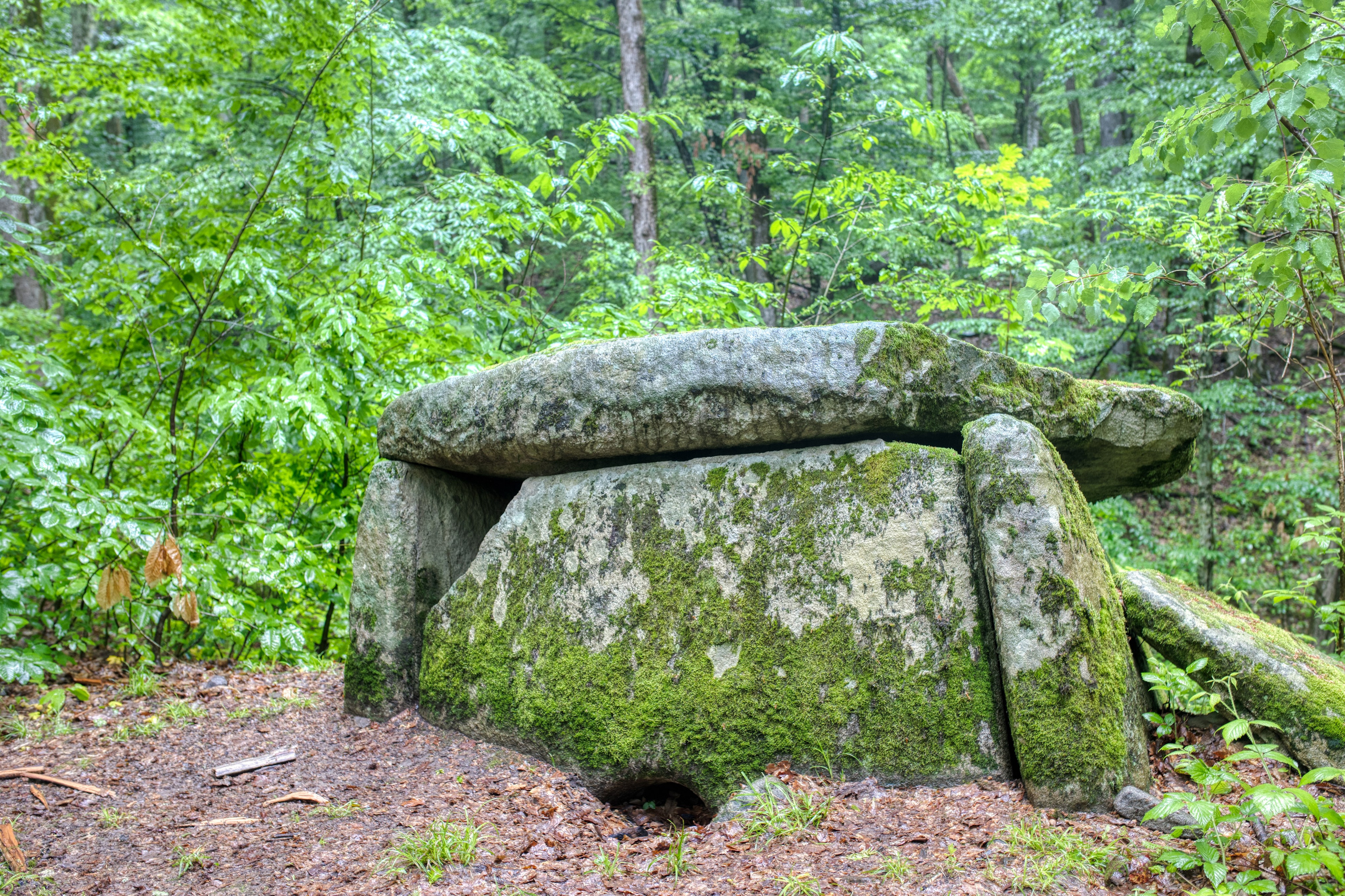 Грачев Венец. Тревел-фотограф Олег Гуров