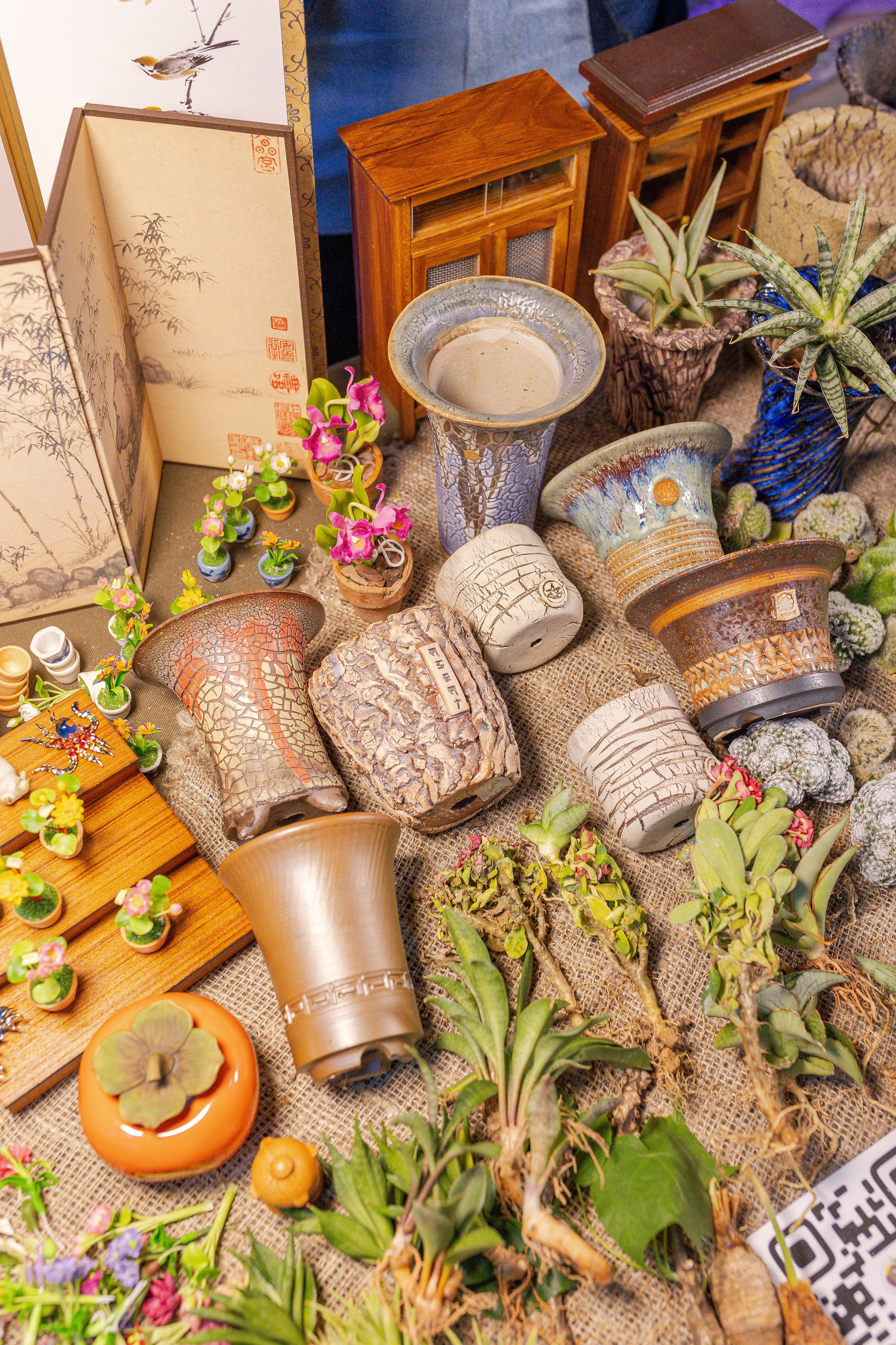 Орхидиум 12.2025. Александра Куликова фотограф, Москва