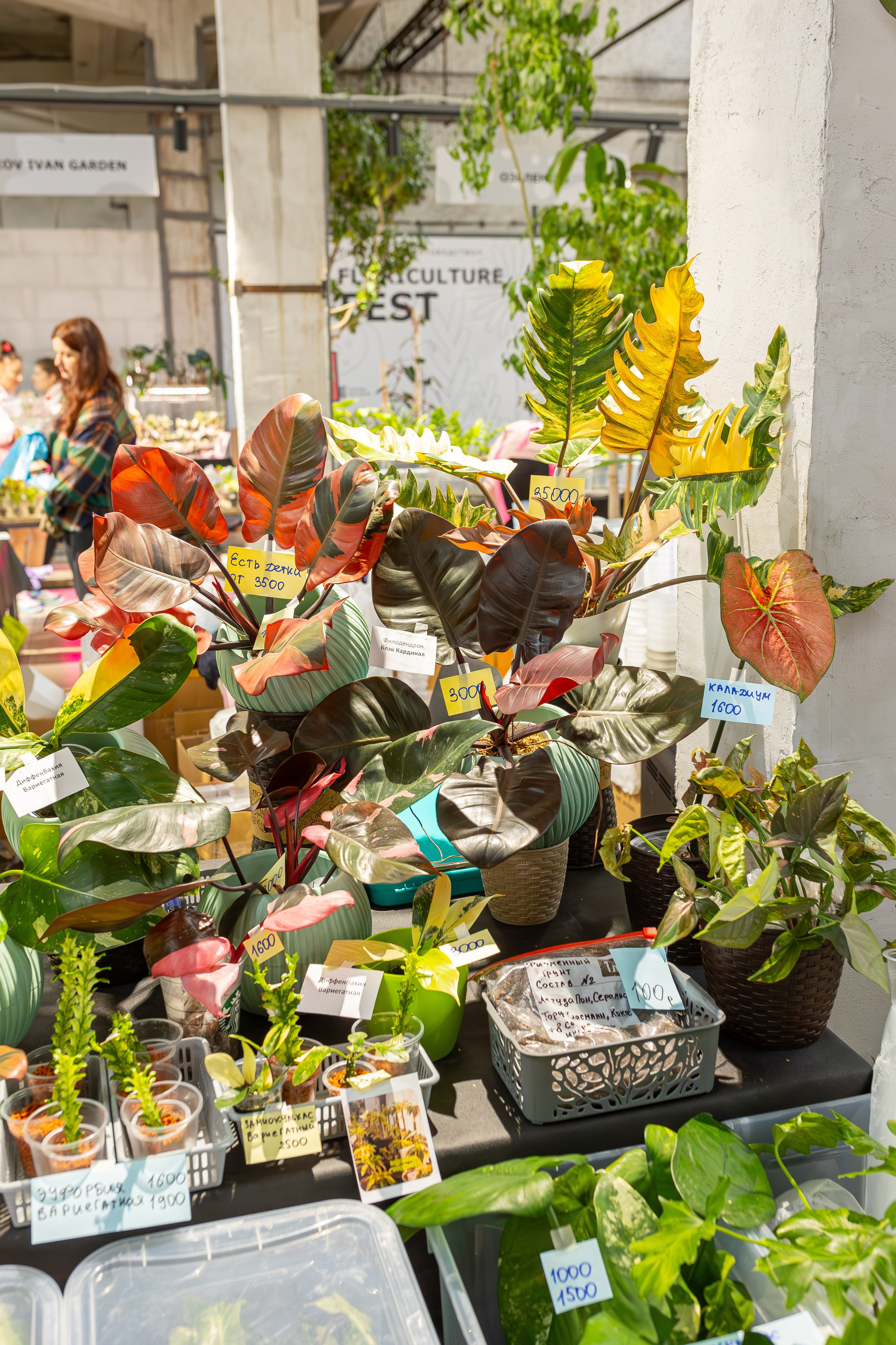 Ярмарка Green Rare 20.09.25. Александра Куликова фотограф, Москва