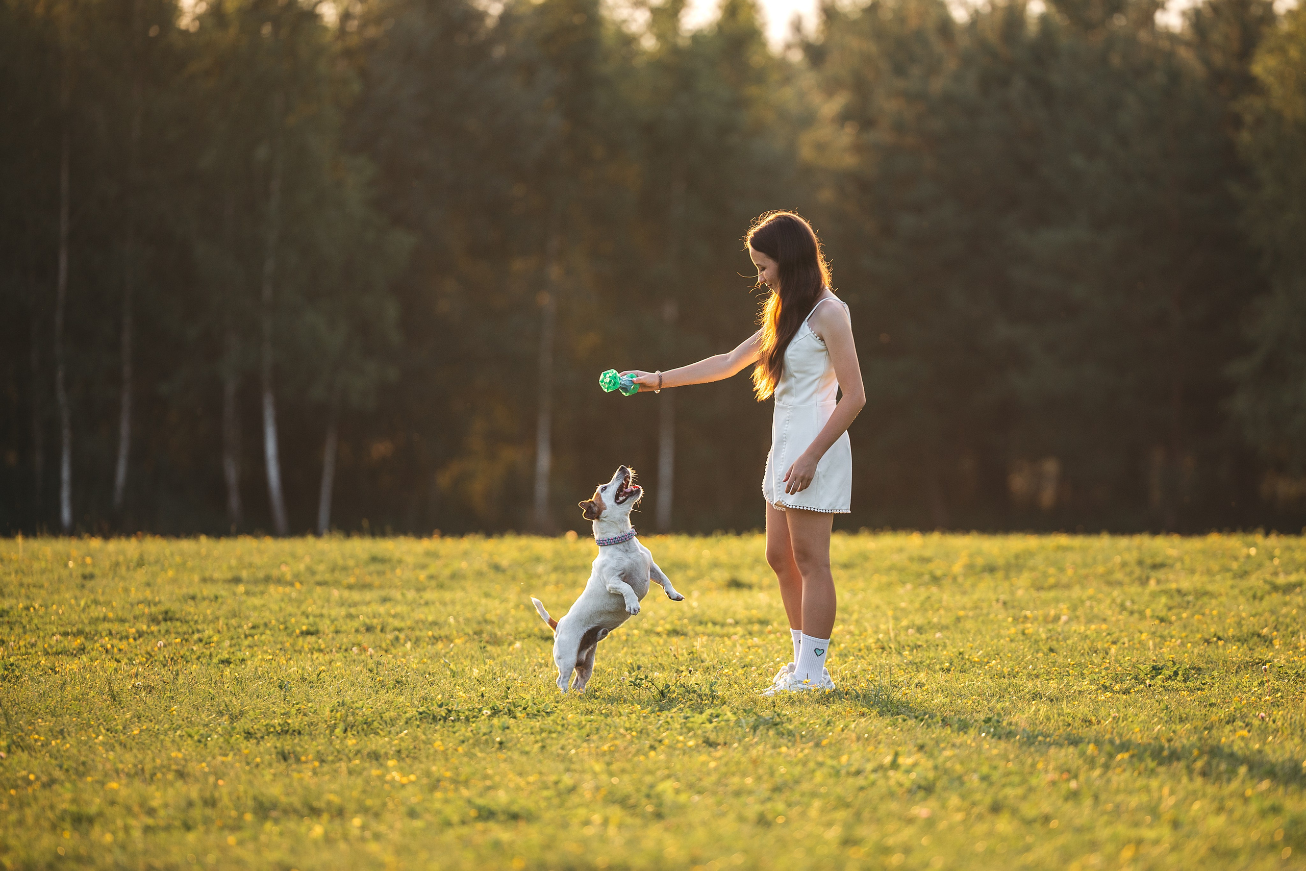 Юлиана и Риф (в обработке). Фотограф Анималист в Москве Анастасия Жучкова