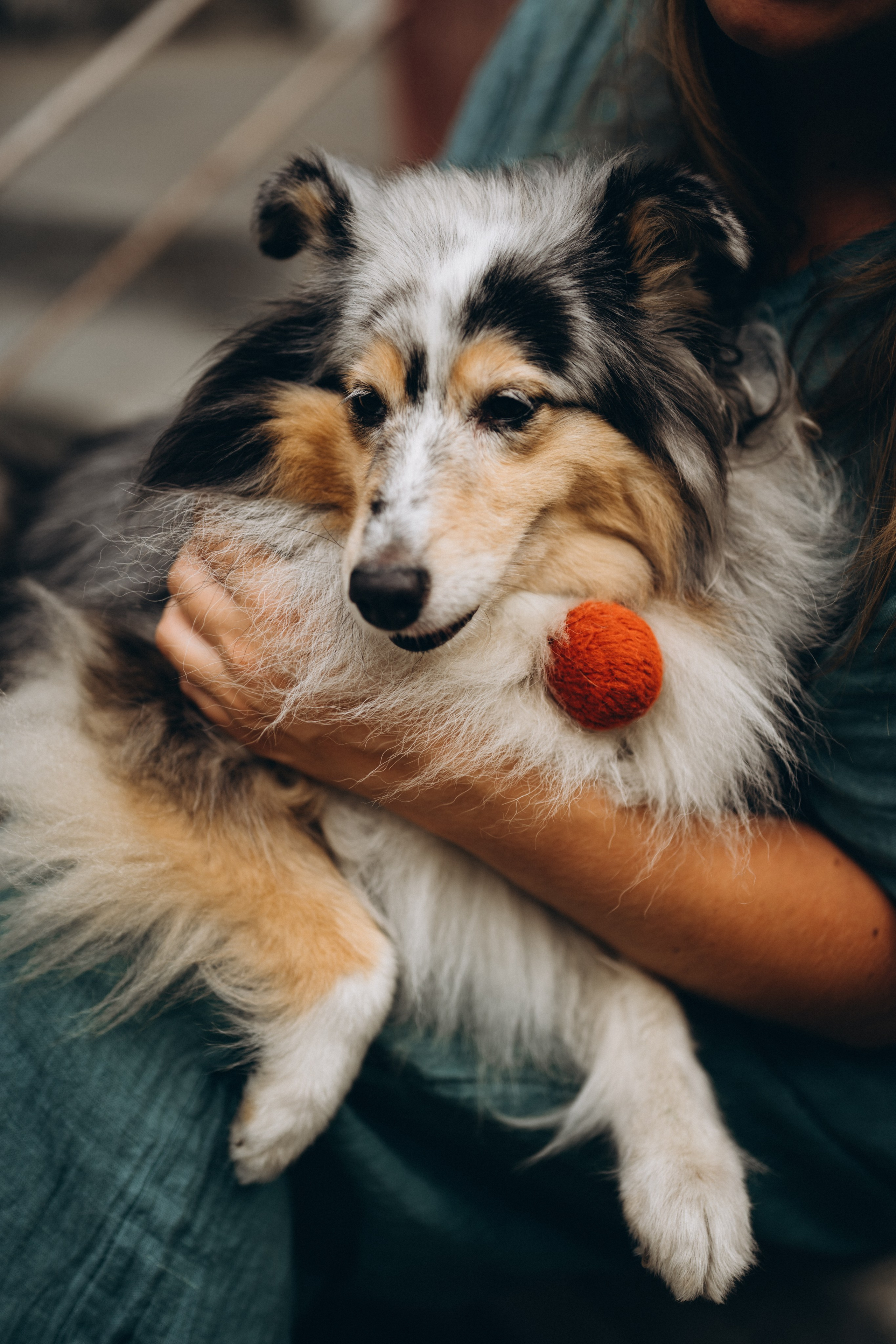 Яна и Холли. Мария Кобзева, фотограф в Ялте, Крым