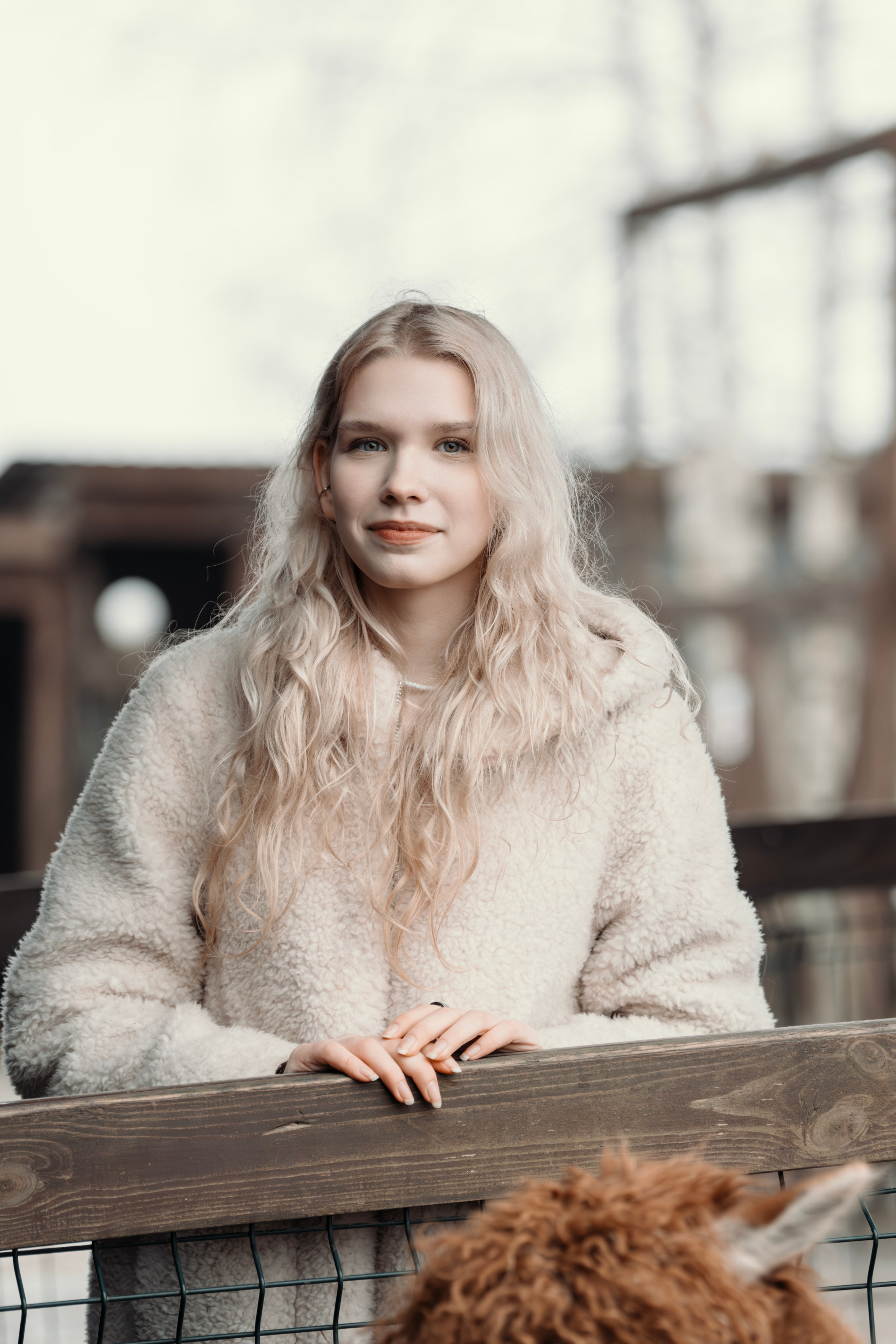 Альпаки. Свадебный и семейный фотограф в Москве Елена Новикова