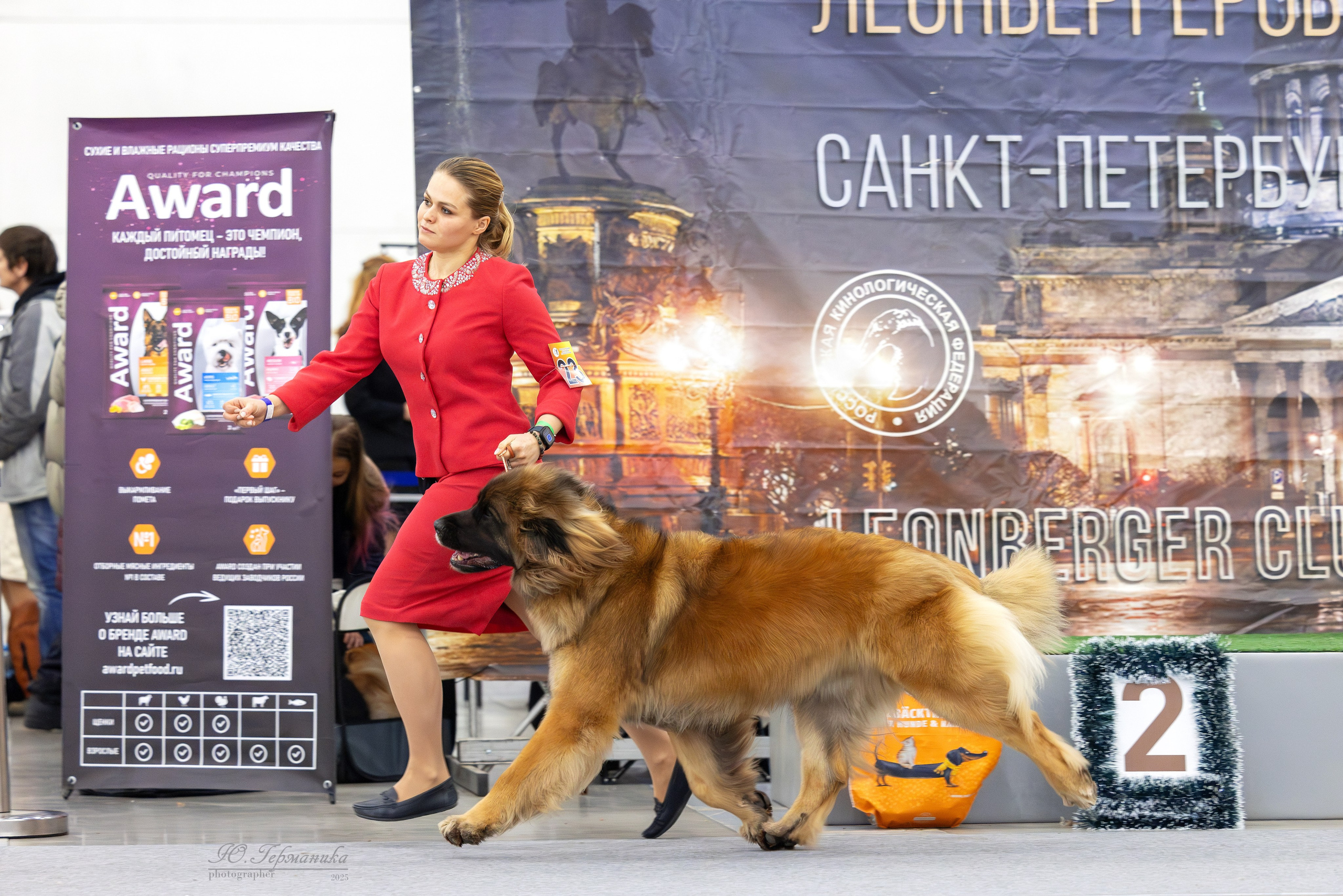 Питер 12-13.12.2025. Фотограф-анималист Юлия Германика