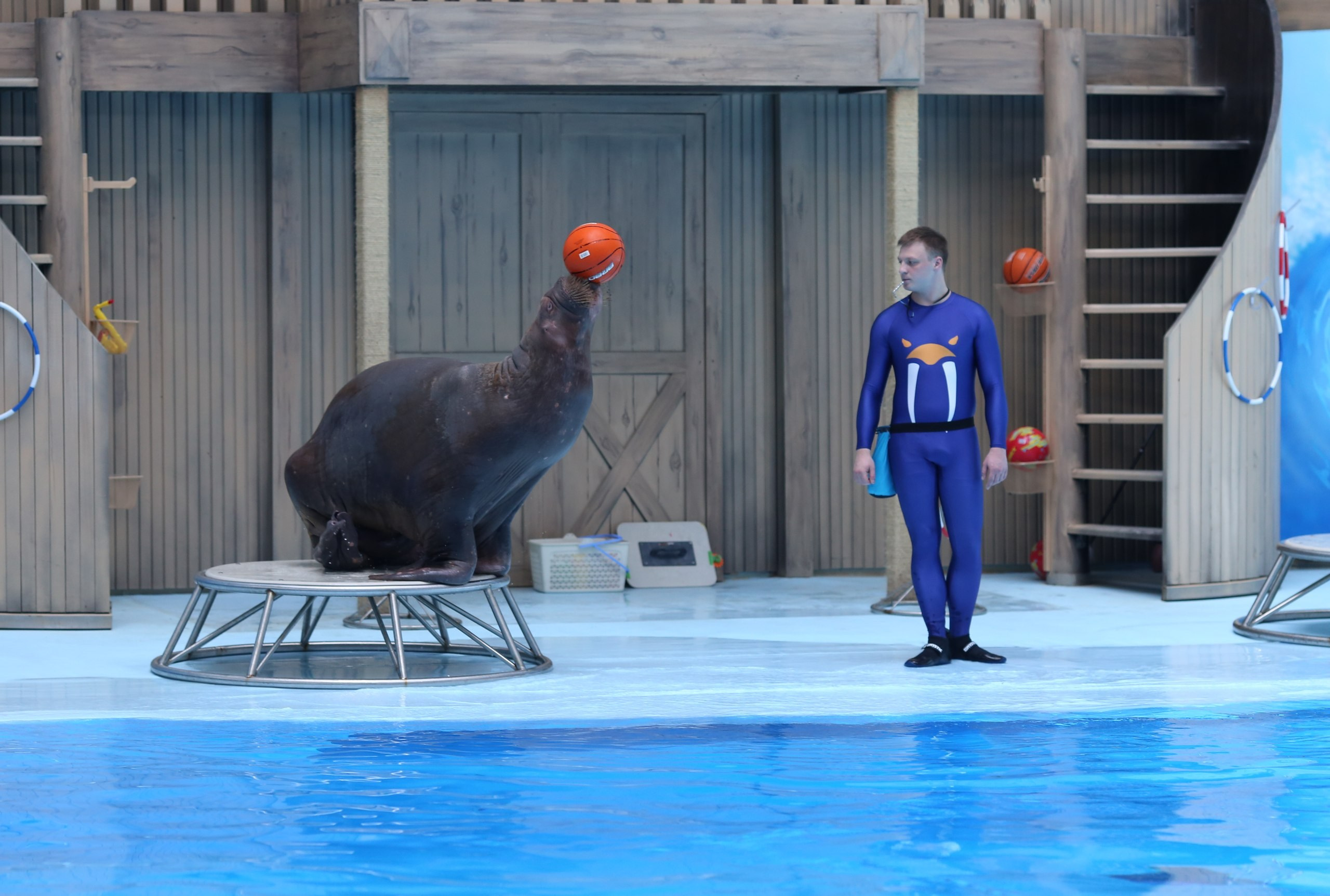 РЕПОРТАЖНАЯ СЪЕМКА. Фотограф Новосибирск