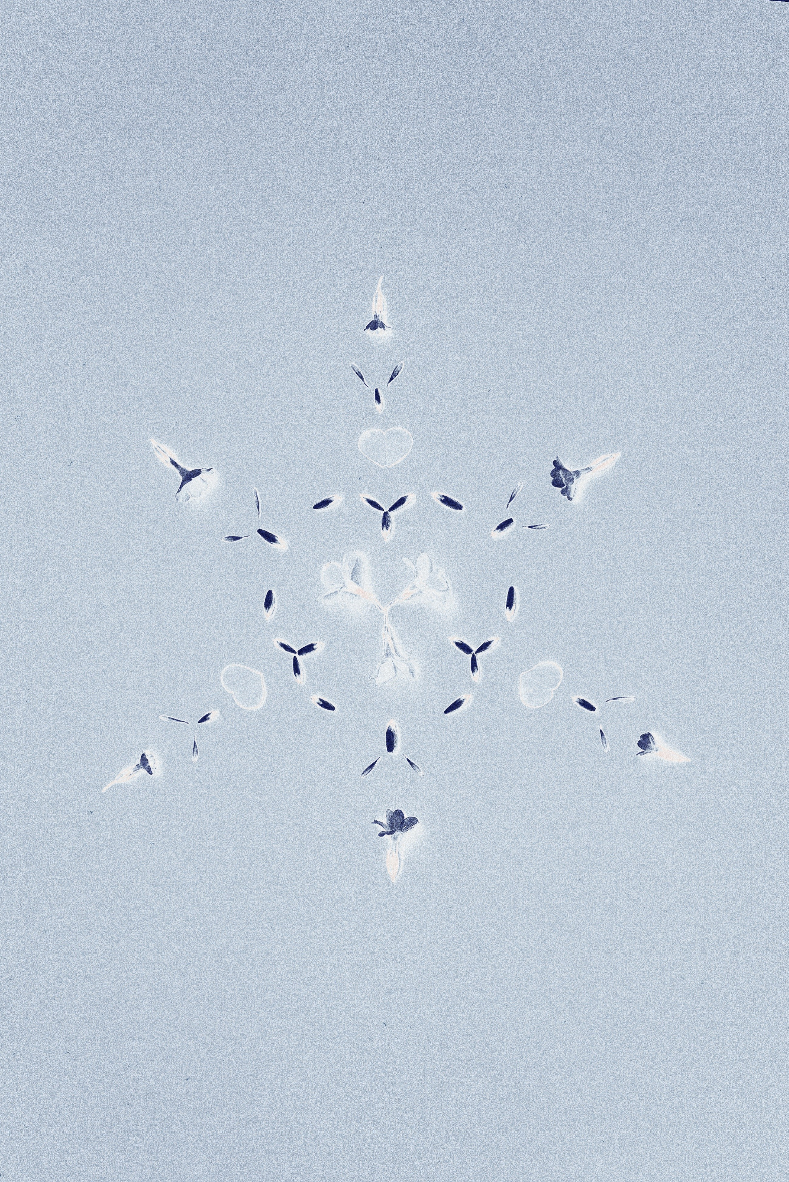 LAYER OF PETALS. Сocoobird || Атмосфера твоего бренда в снимках и видео