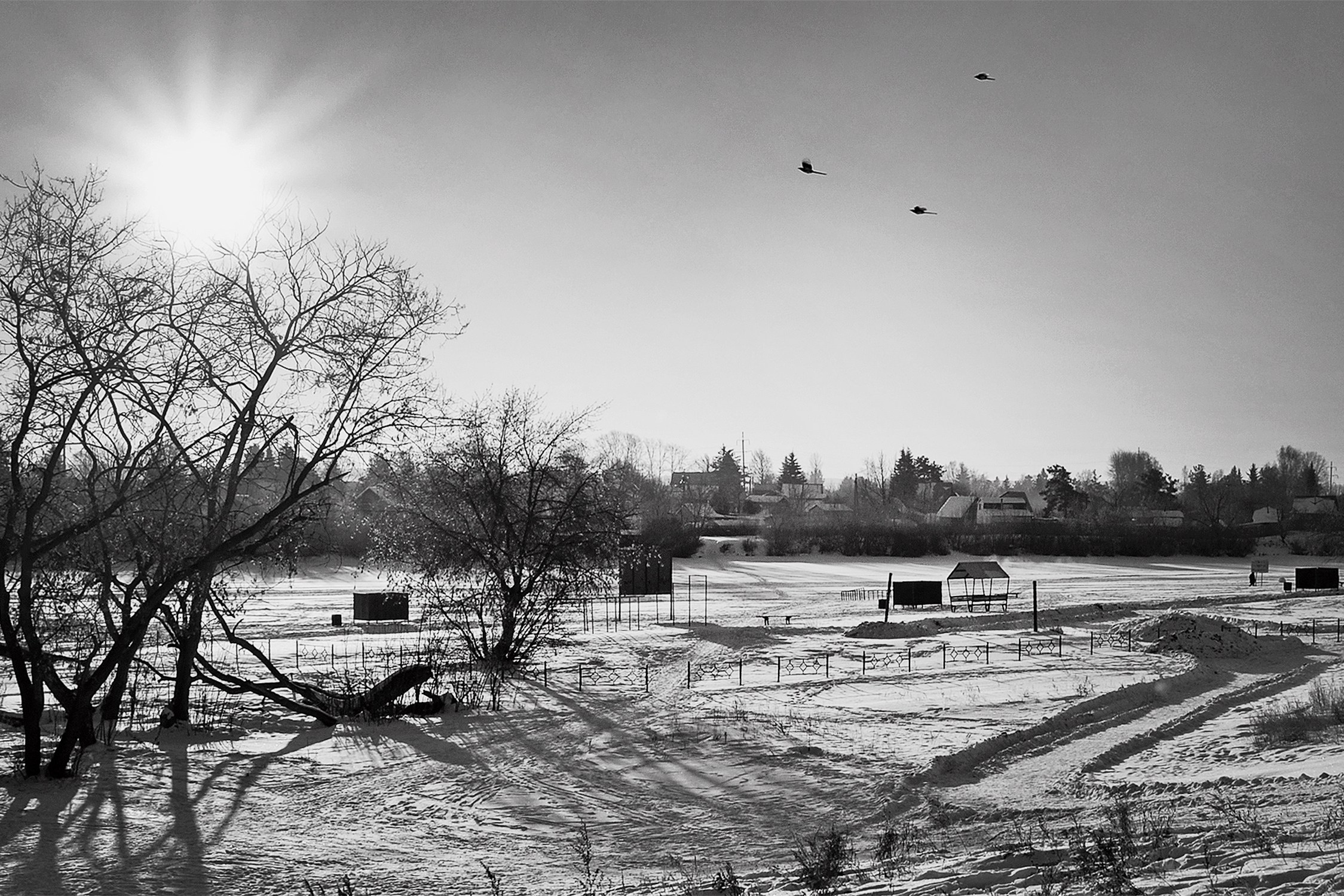 Улицы. Фотографии Марины Бурнашовой