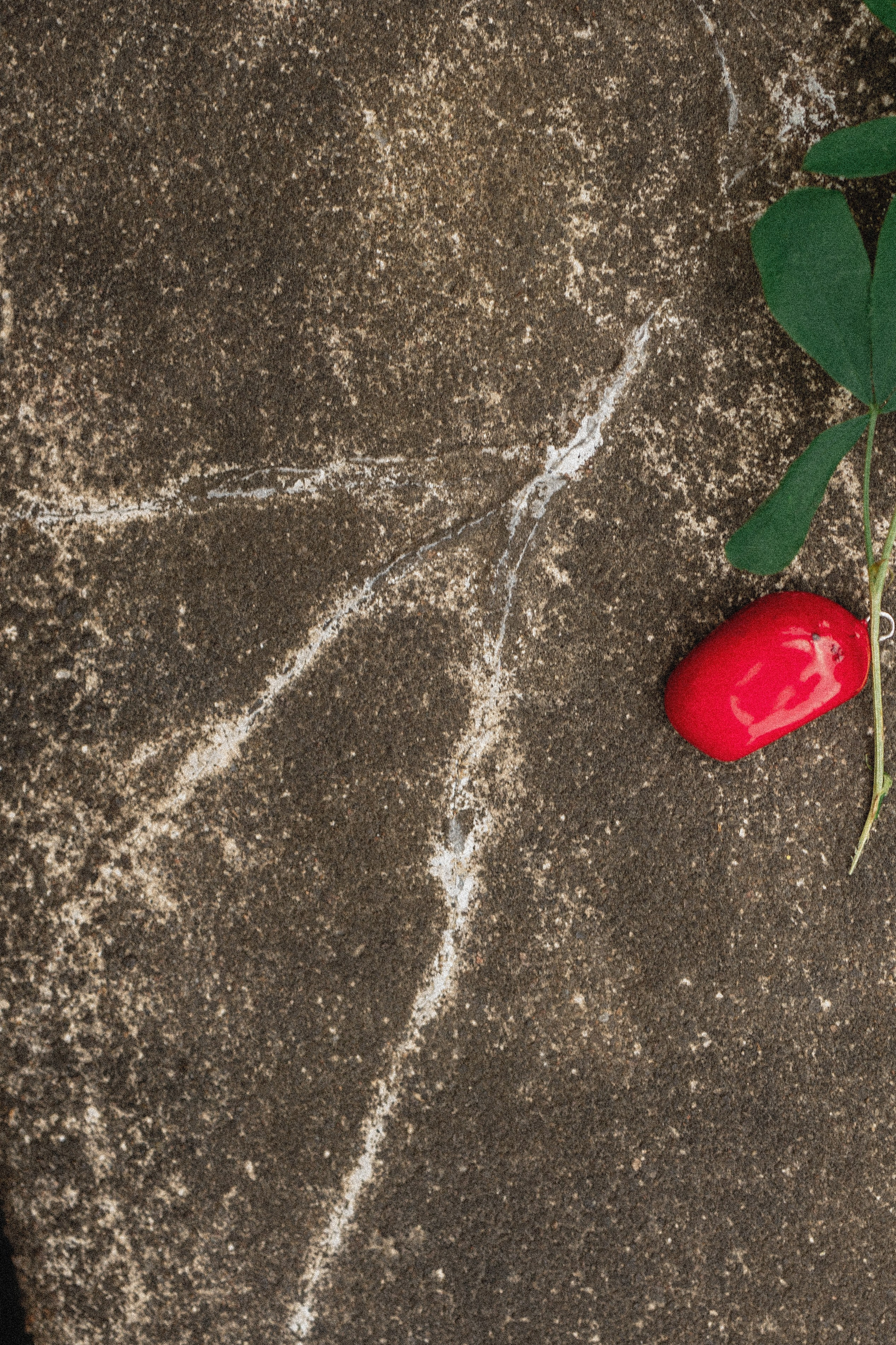 Эстетика П р о Я в л е н и я. Виноградова Маргарита. Фотограф P r o Явления