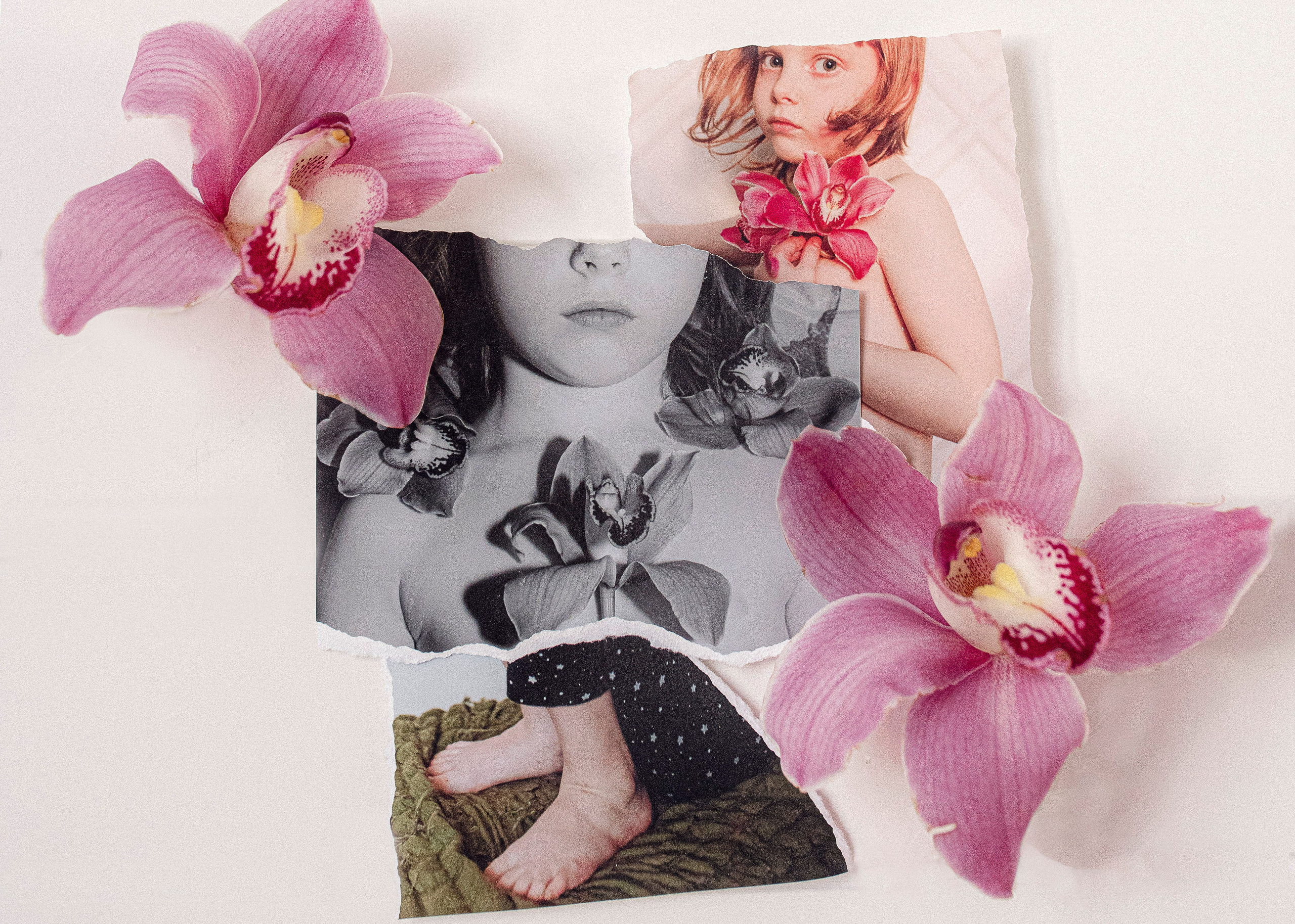 Цветные фотографии. Фотографии Лены Соколовой