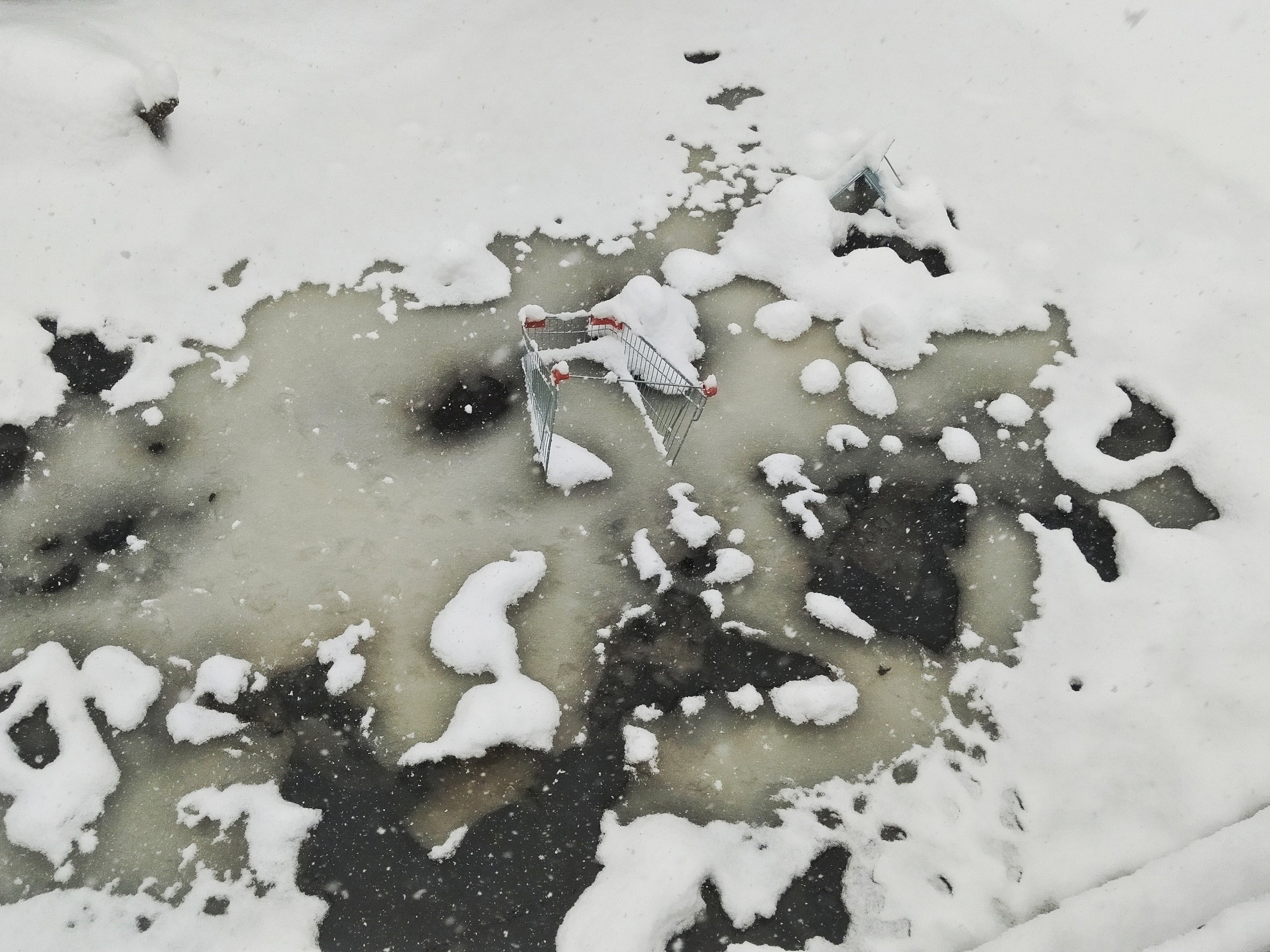 Из сердца лесополосы. Настя Арзуманова, фотограф