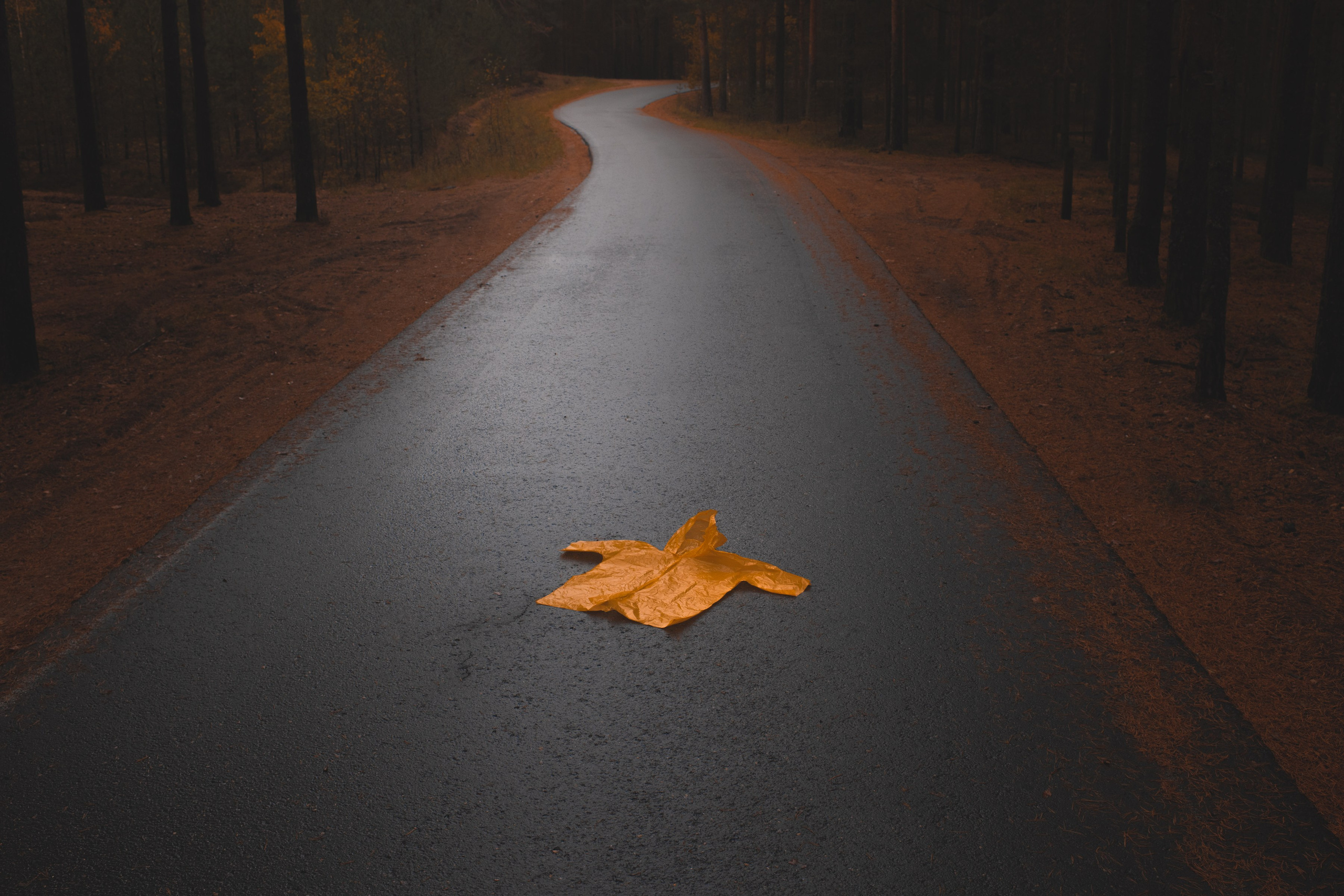 The Expiration Date. ALEXEY KRYLOV | Photography