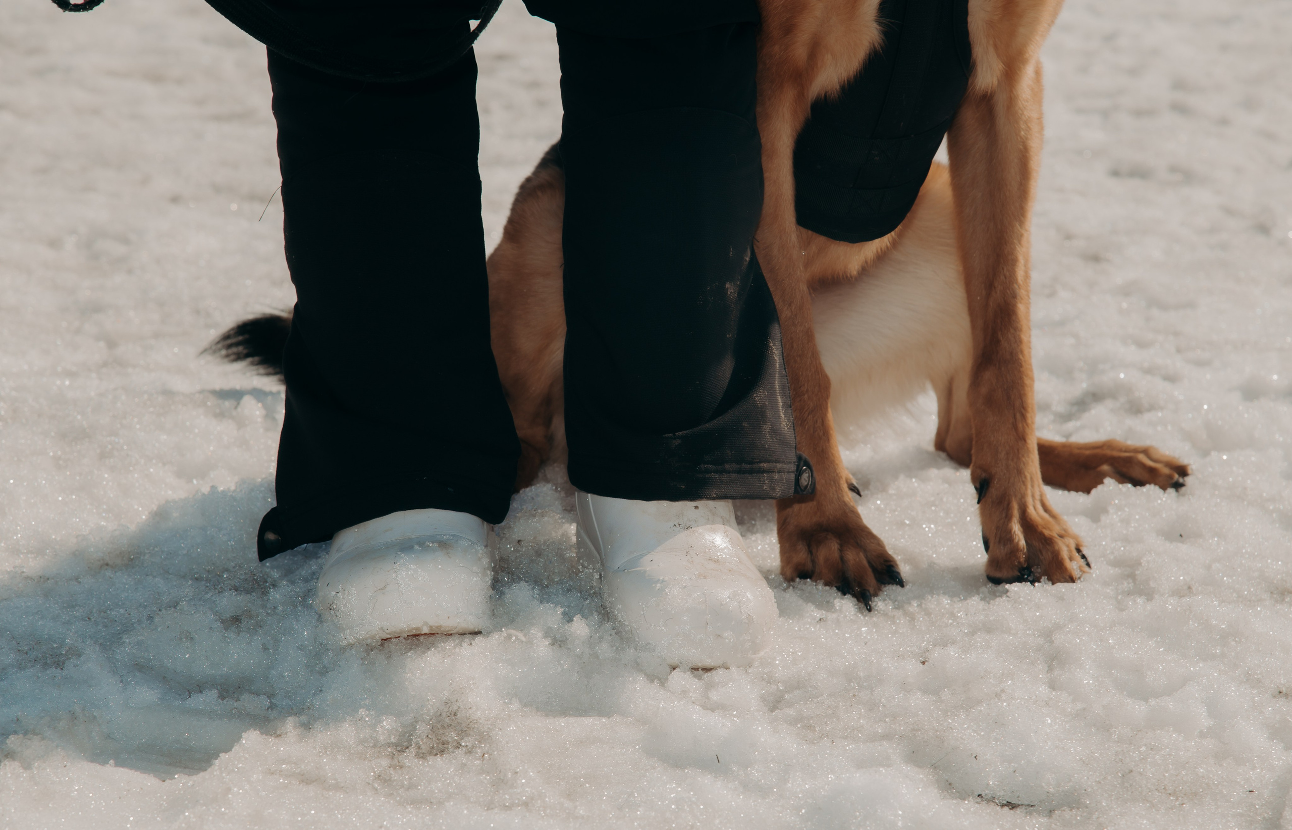 Тренировка с киноголом. Фотограф вашей улыбки. Москва