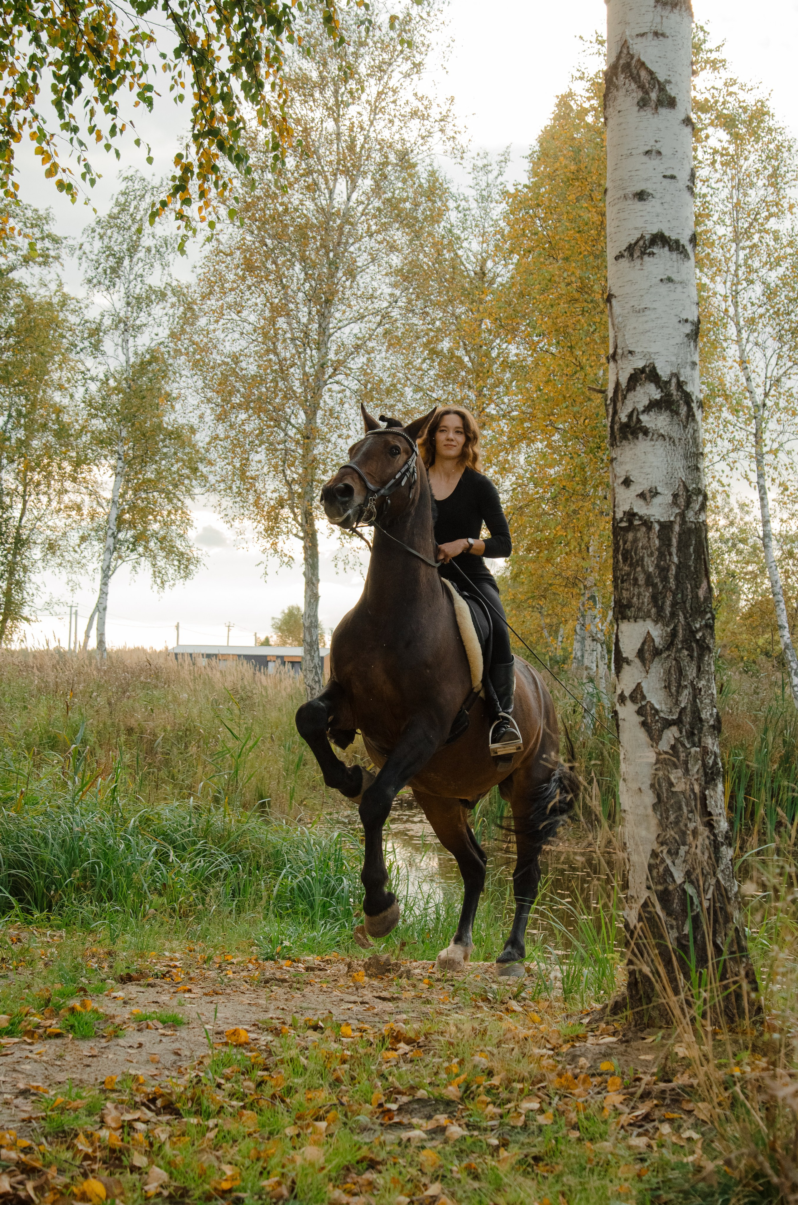 Дом-музей лошадей Хуторъ. Фотографы в Тюмени Андрей и Лидия Войвод