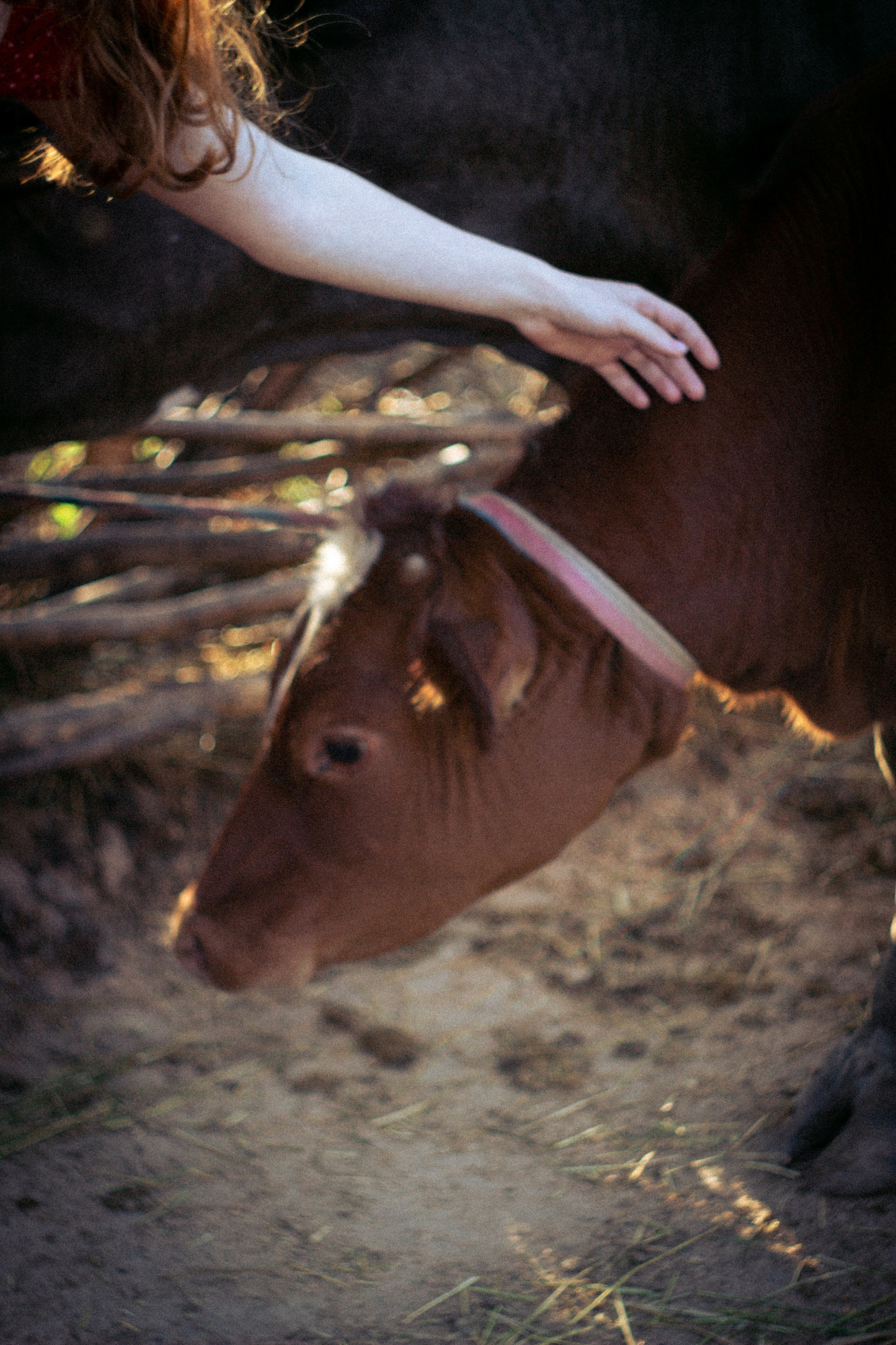 Платье в горошек. • Фотограф Александра Светозар Алчевск •