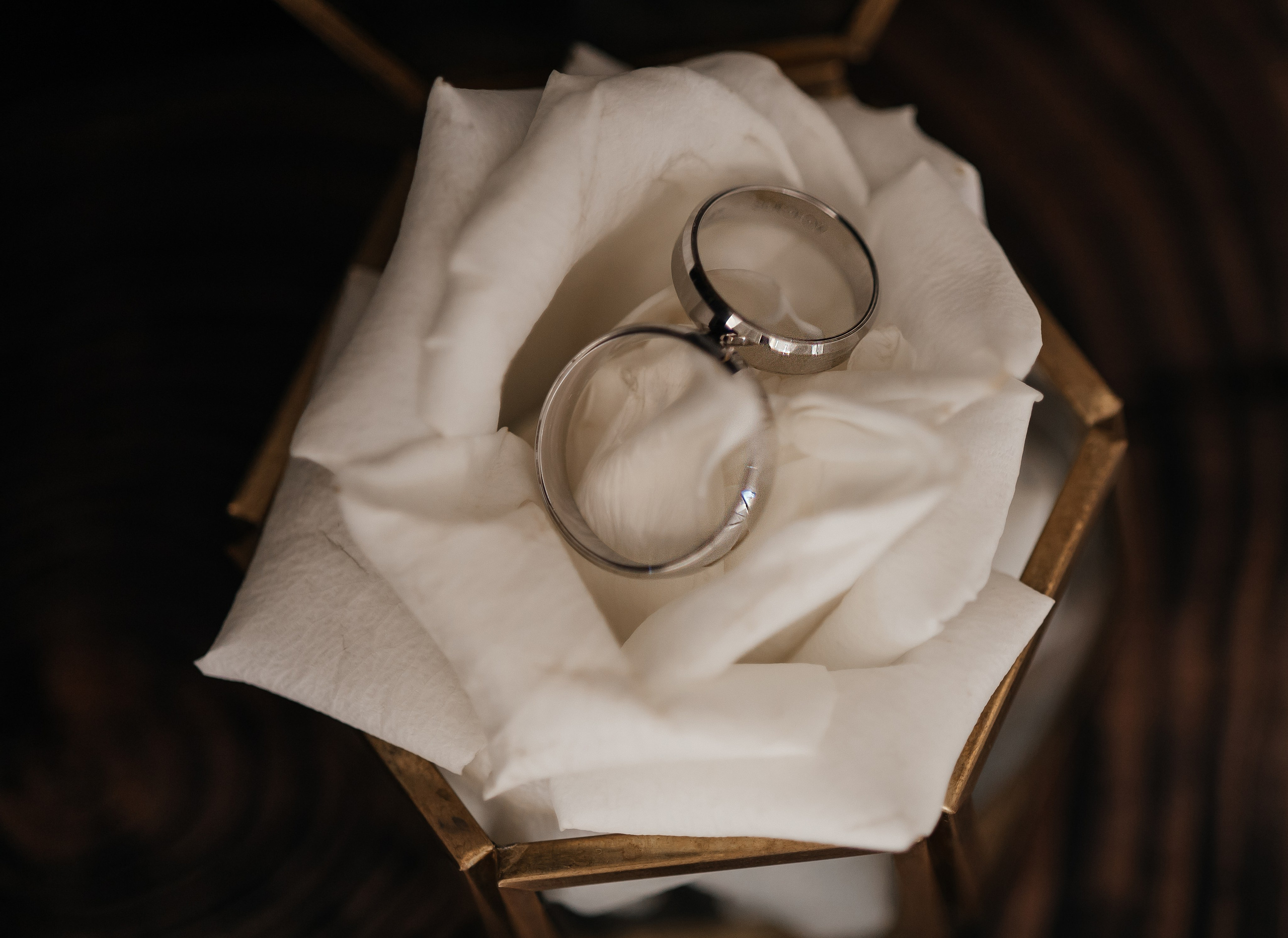 Виктория и Владимир. Главная