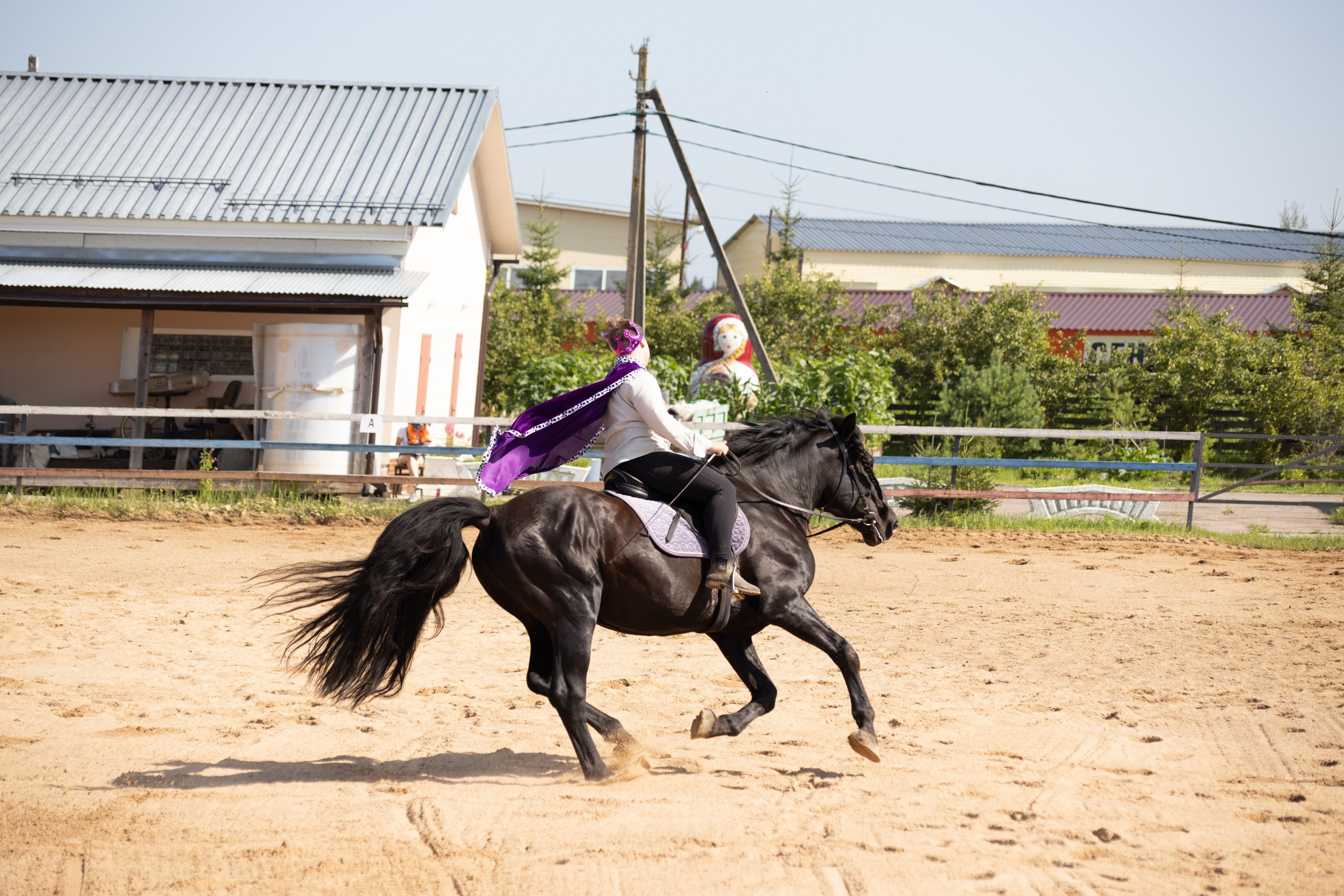 Конюшня. Фотограф в Москве и Истре