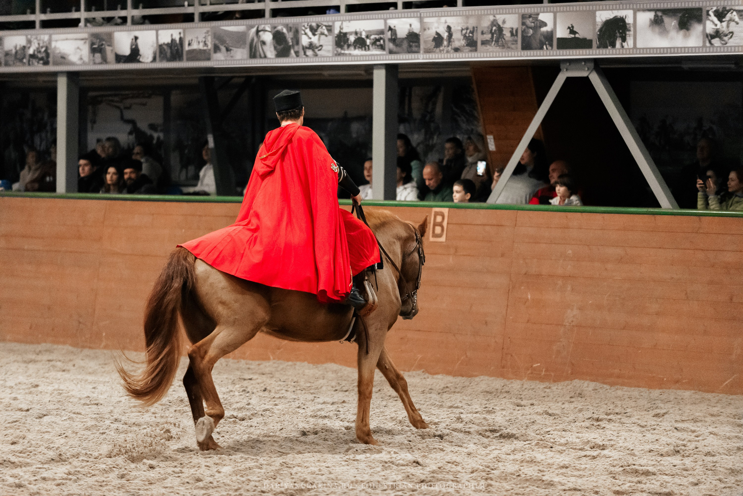 Конное представление «Дыхание Звёзд». Конный фотограф Куракина Дарья • Фотосессии с лошадьми