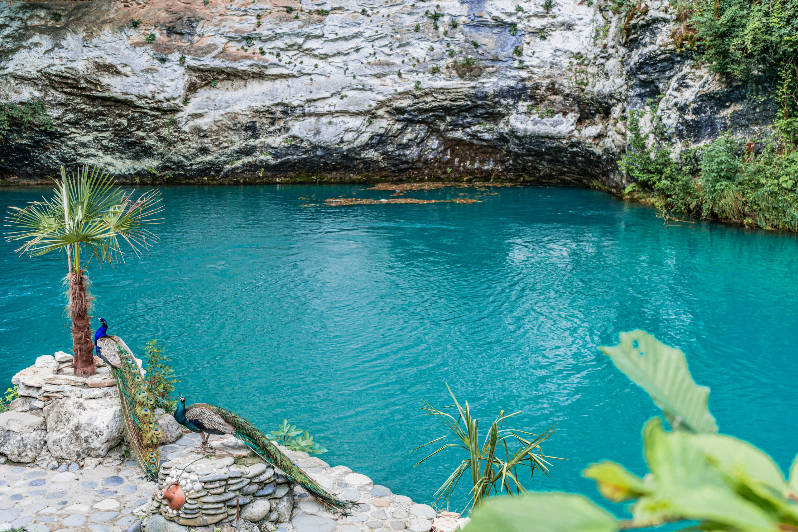 Натура. Владислав Кожух | Фотограф | Видеограф | Режиссёр