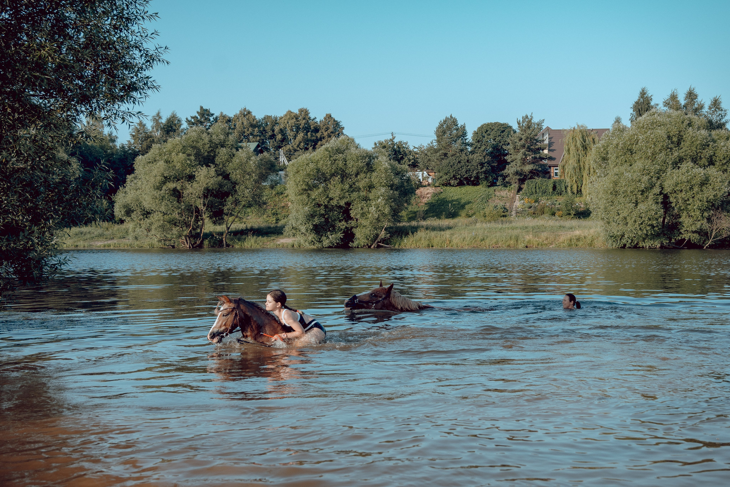 Купание лошадей 05.07.2024. Портретный и семейный фотограф в Москве/Видное