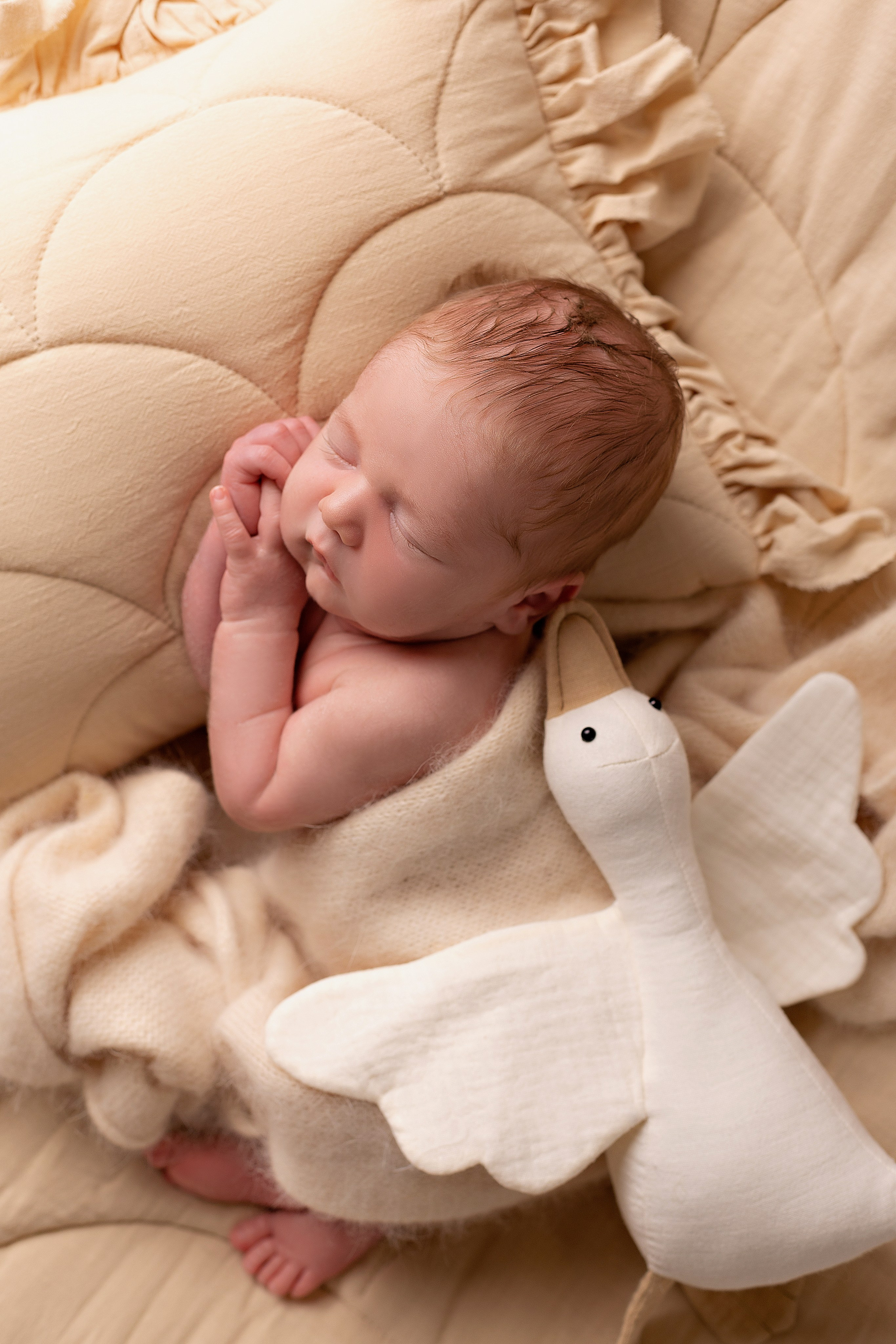 Новорожденные. Фотограф новорожденных и детский фотограф в городе Иваново