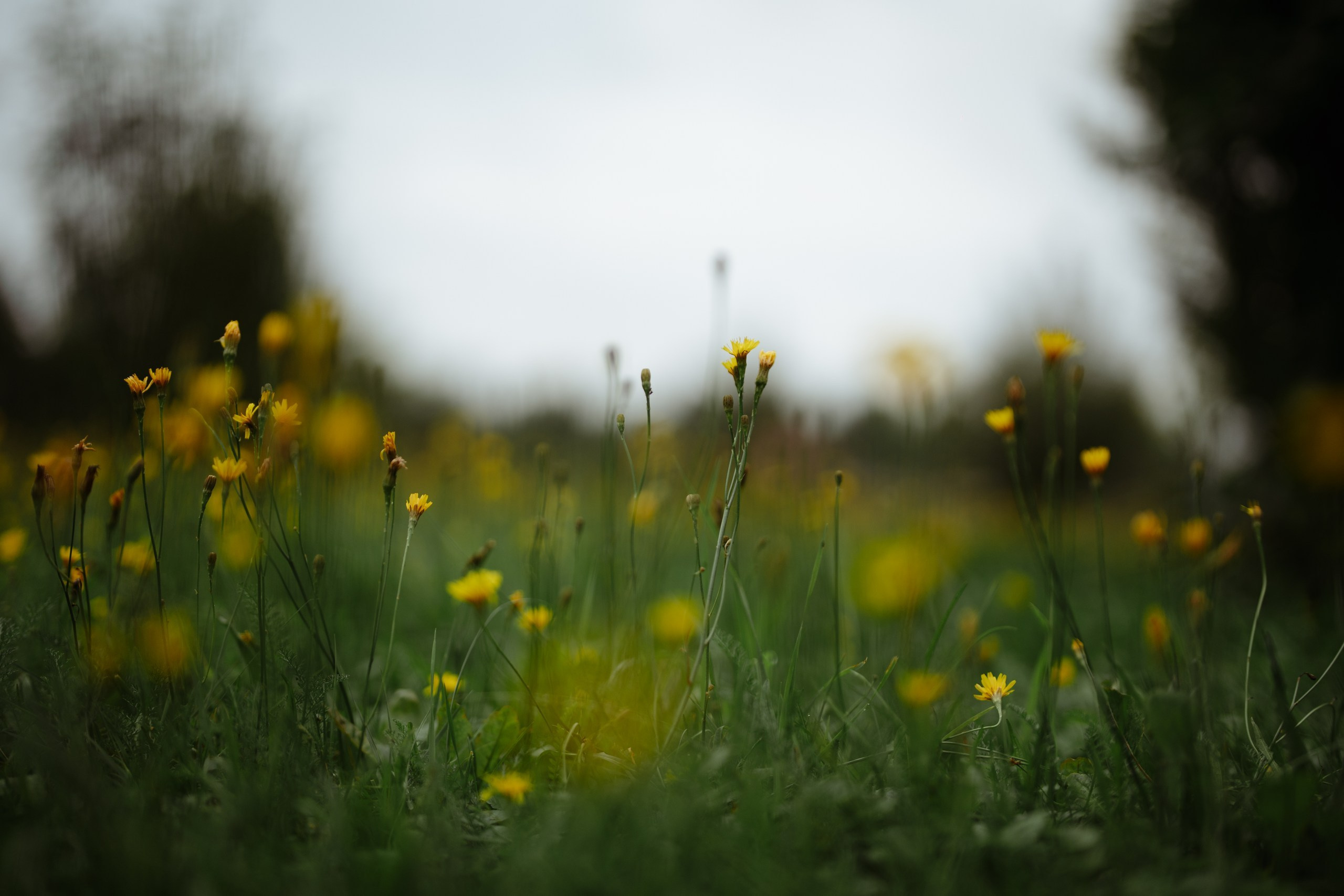 Сюжет № 11|Виктория Алексеенко