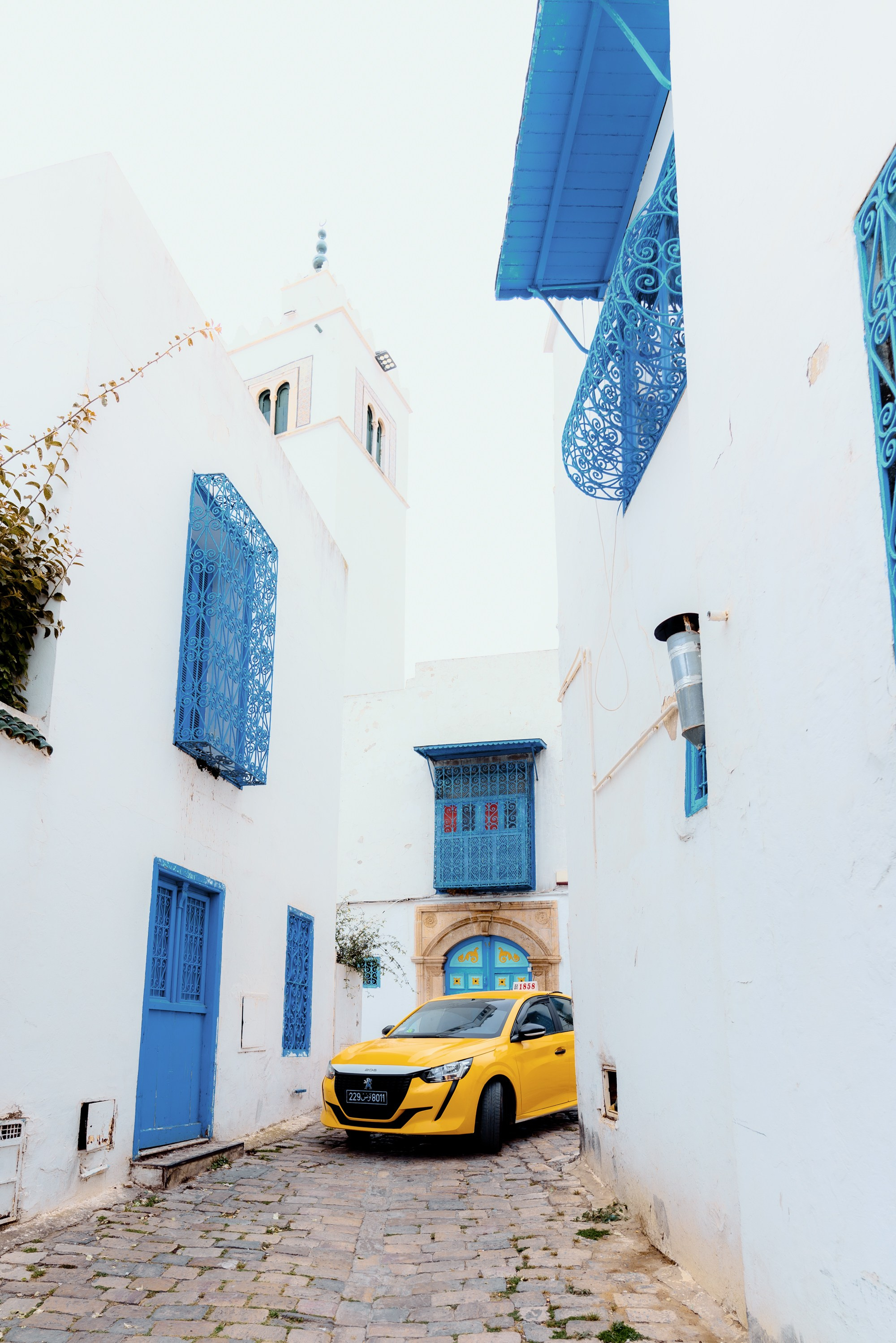 Северная Африка: Тунис, Марокко. Фотограф в Хабаровске. Фотография за 24 часа