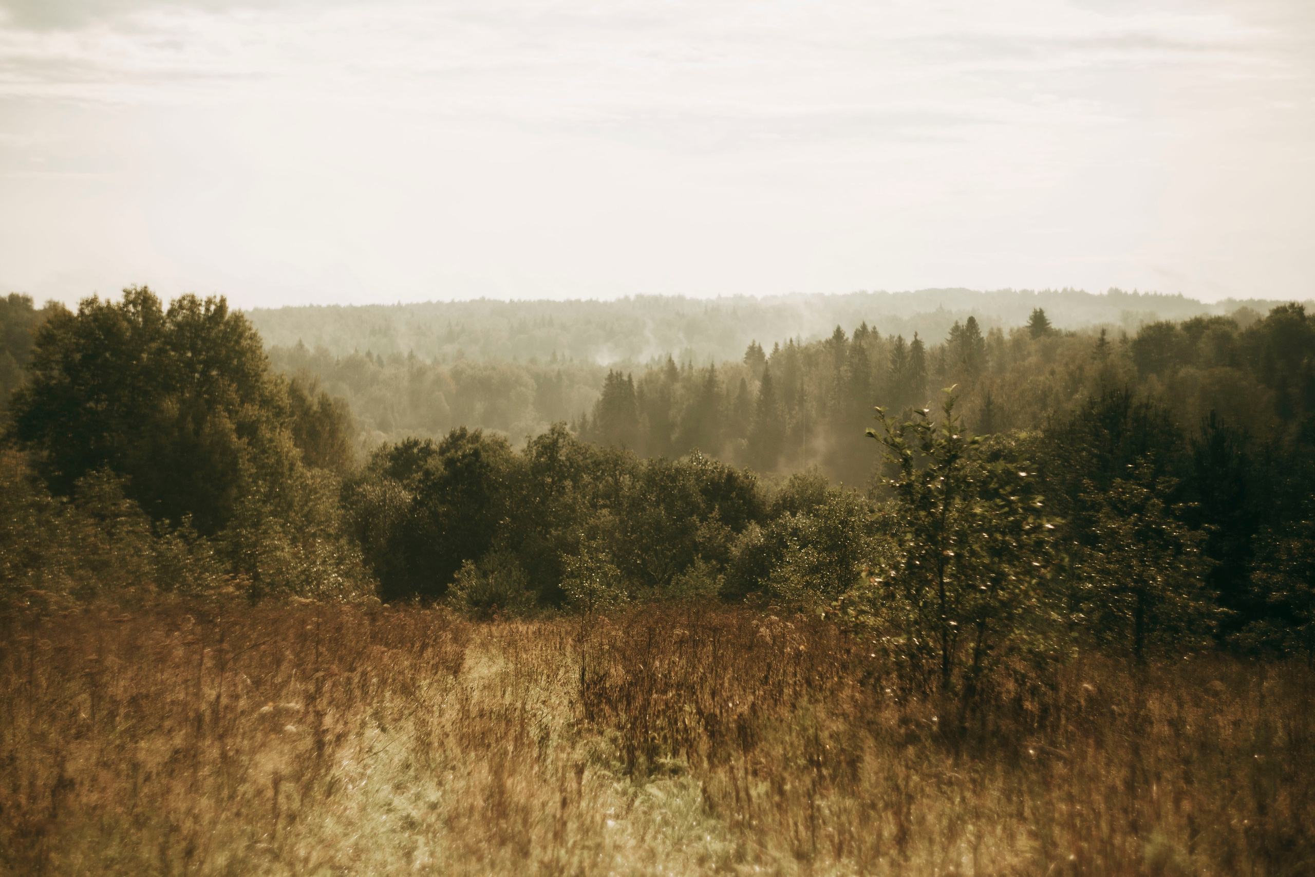 Поход. Ваш портретный фотограф в Москве Катя Прокофьева