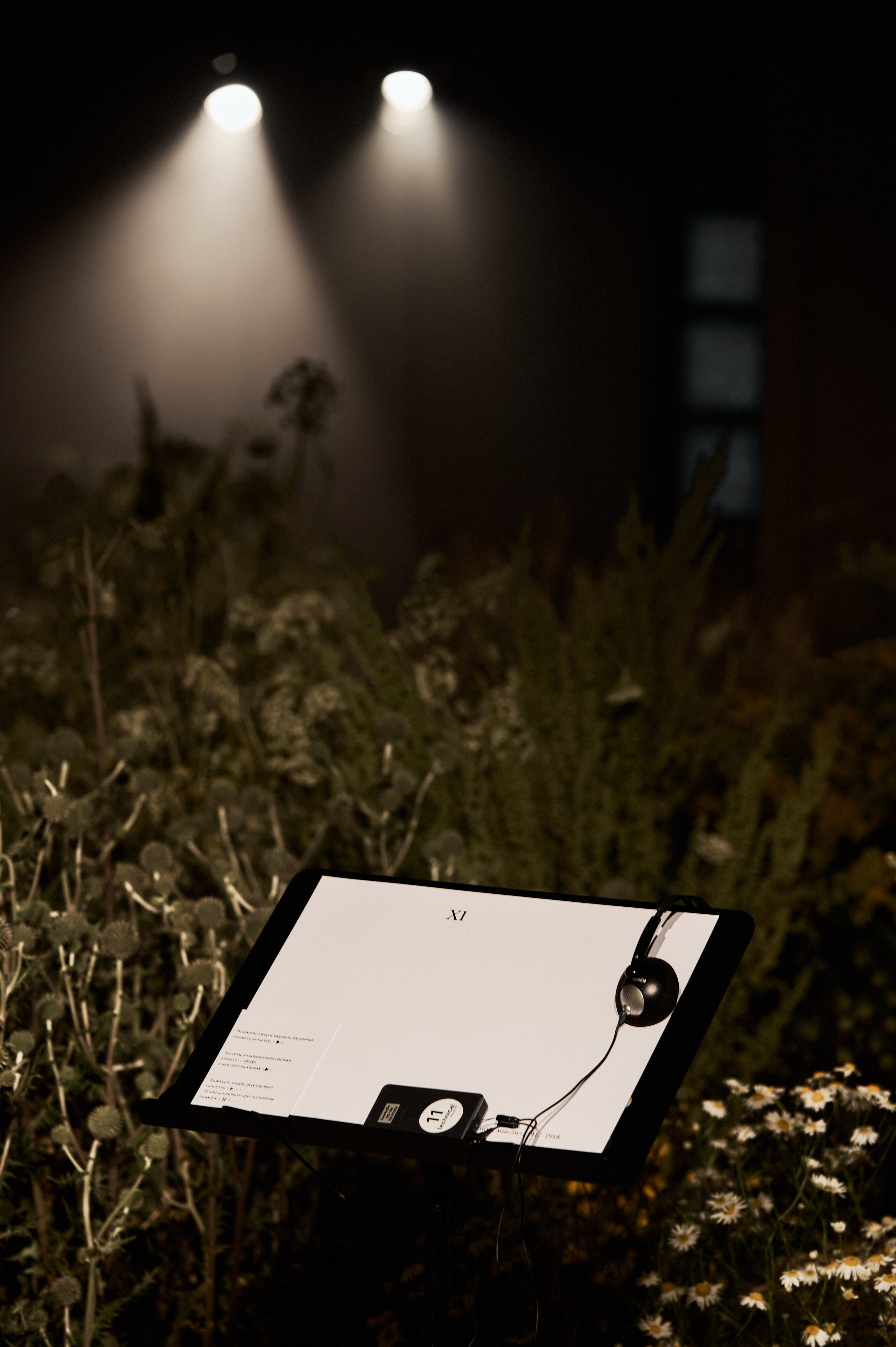 НЕСВОЕВРЕМЕННЫЕ МЫСЛИ. Коммерческий фотограф в Казани Ксения Добролюбова