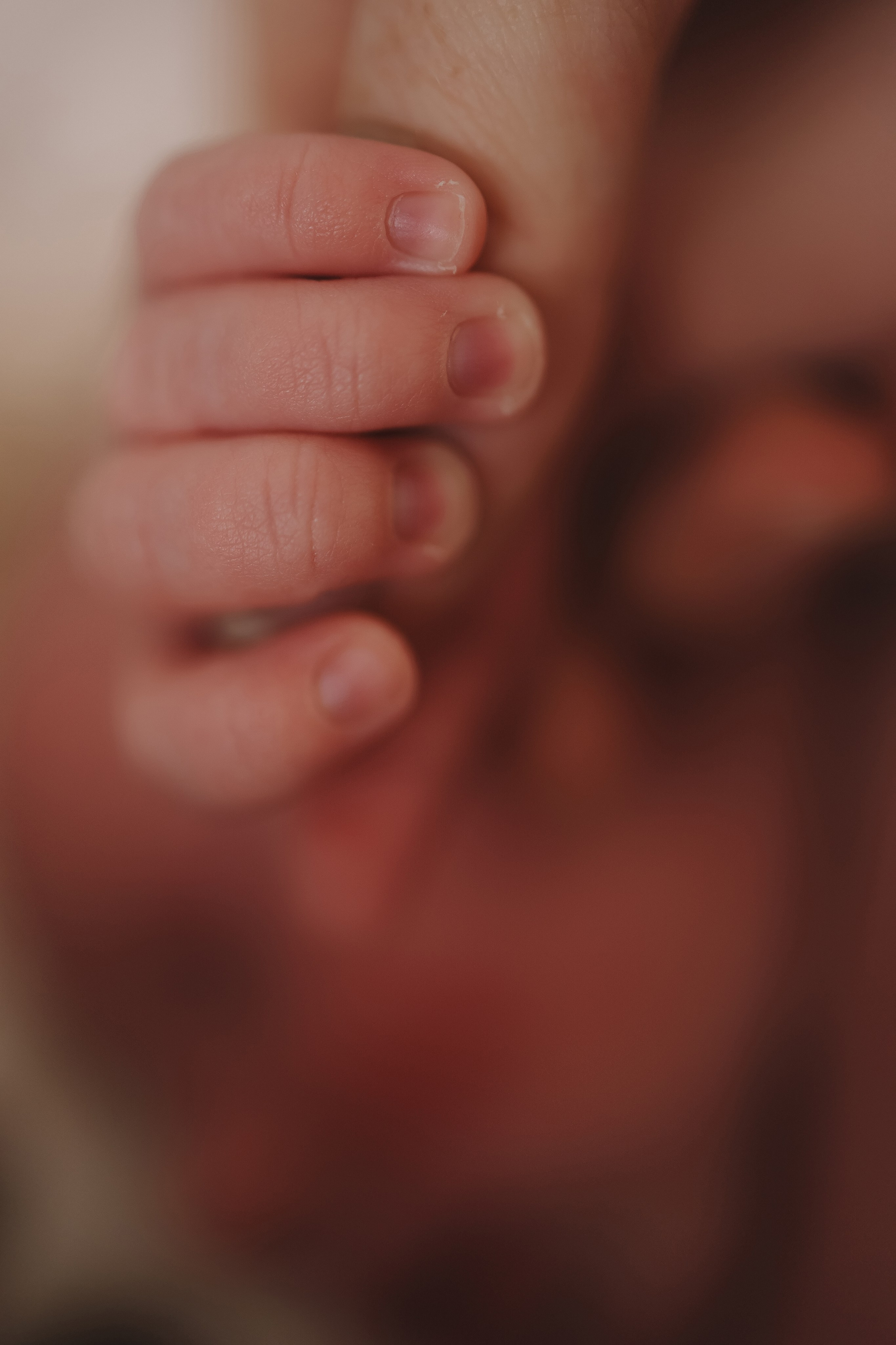 Ефим, 2 недели. Семейный фотограф Тюмень, фотограф на роды Салмина Мария