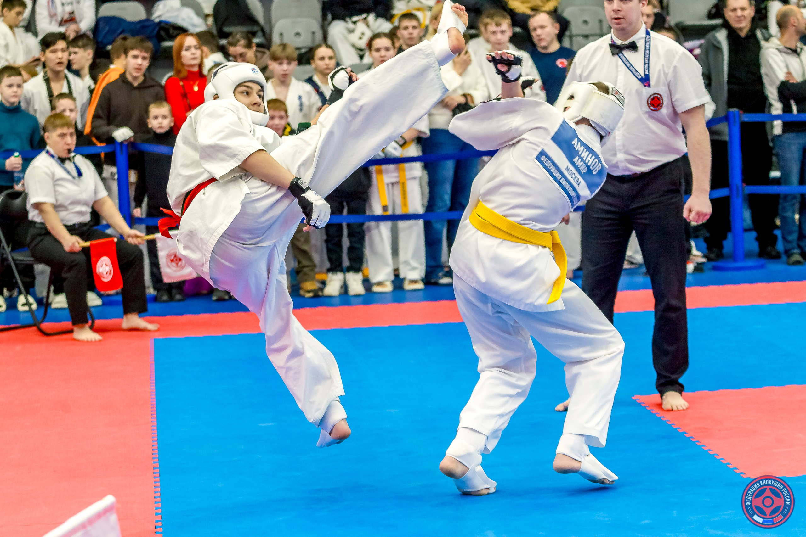 Международный турнир по киокушин «Открытый кубок Seiken». Репортажная съемка в Москве и области. Анималистика