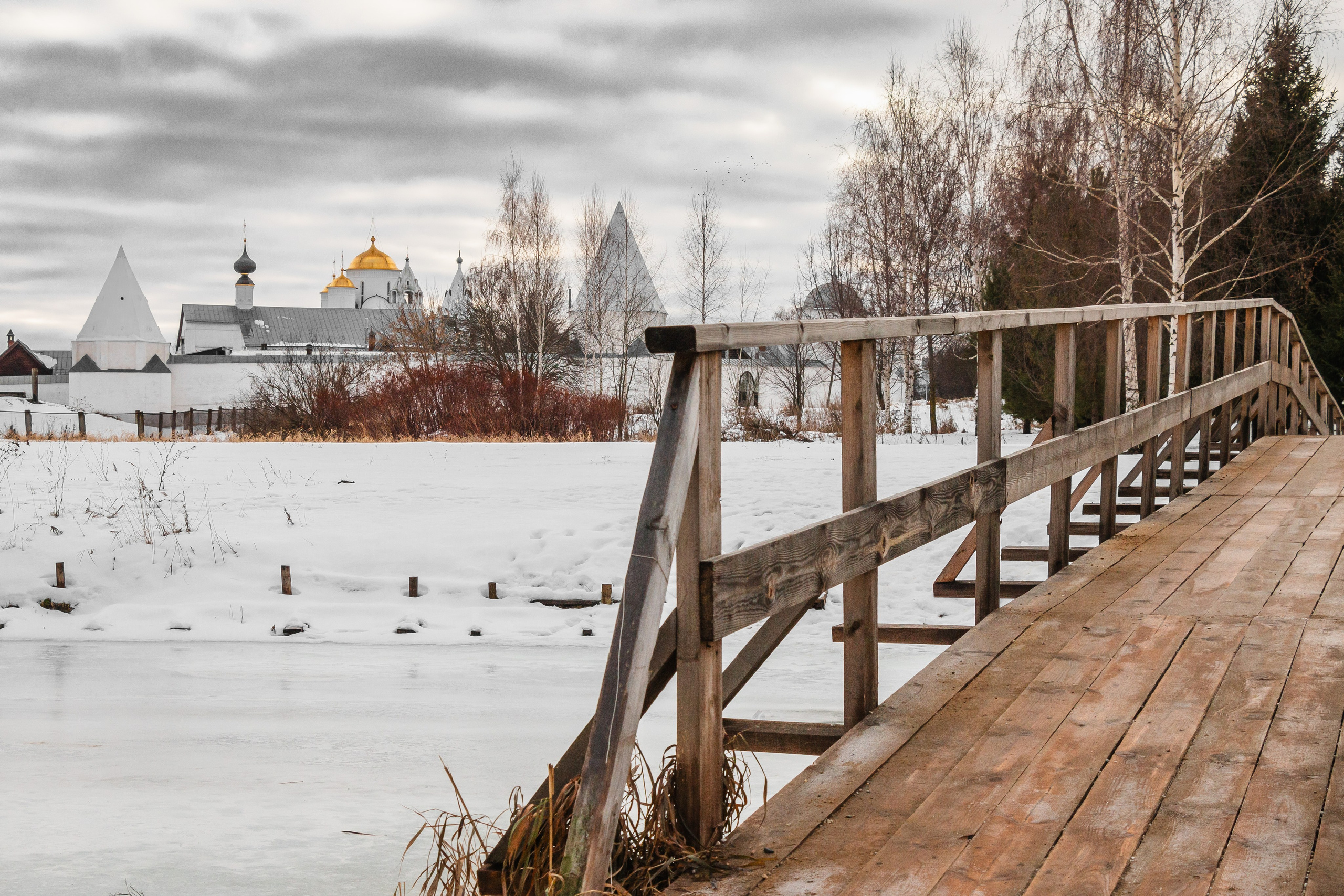 Суздаль. Олег Романов. Мастер фото по спорту