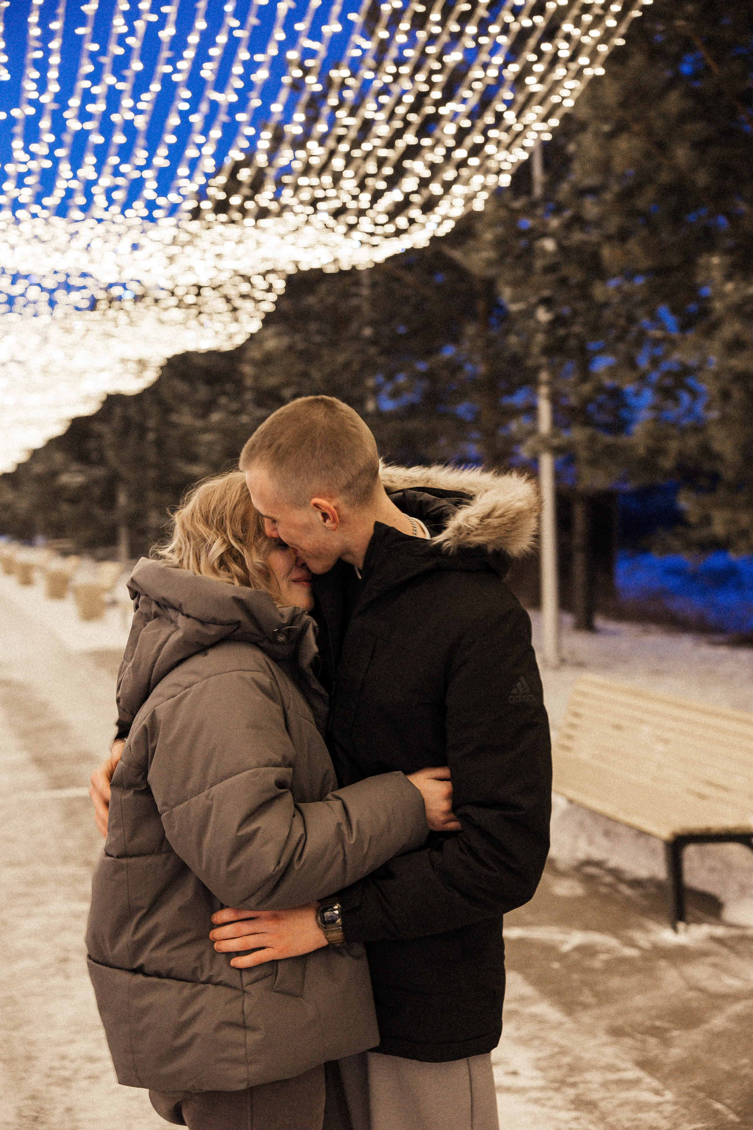 Предложение. Главная