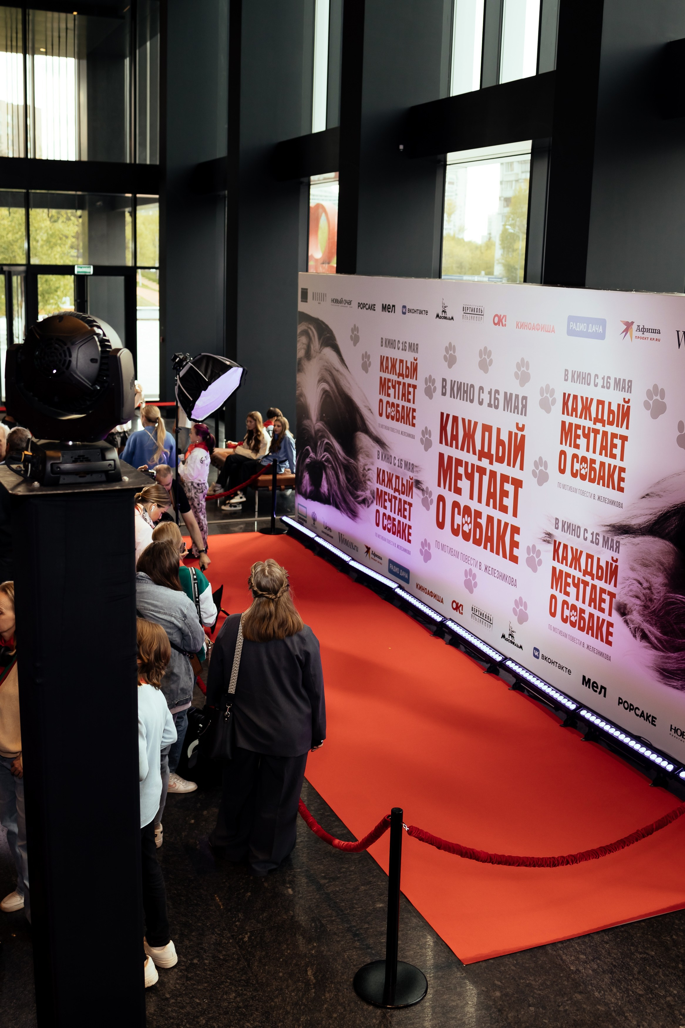 КАЖДЫЙ МЕЧТАЕТ О СОБАКЕ. Катерина Киреева — фотограф в Москве