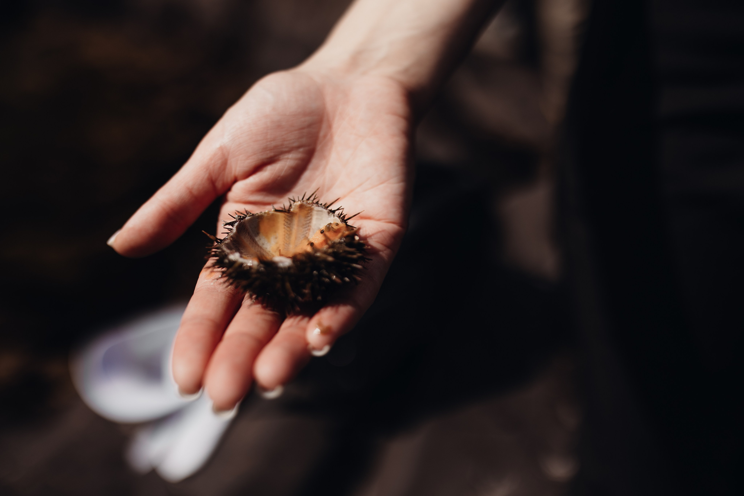 Авторский тур «Оля, куда завтра?!» 2024. Фотограф Итуруп | Курильские острова