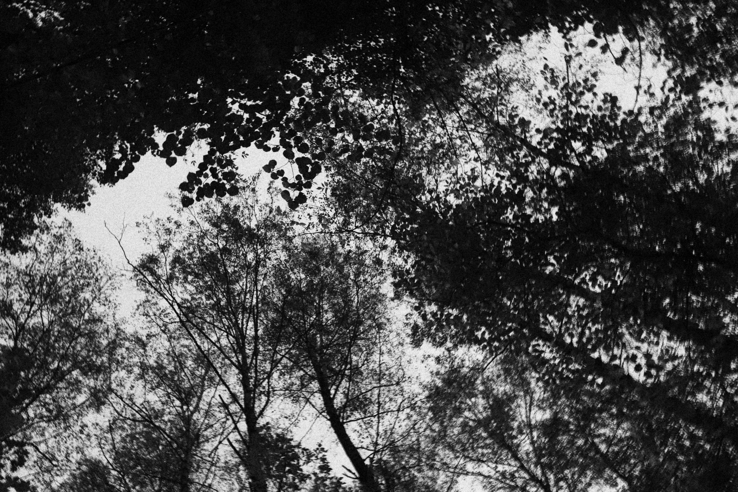 Здесь вы увидите все мои работы. Joseph Anton