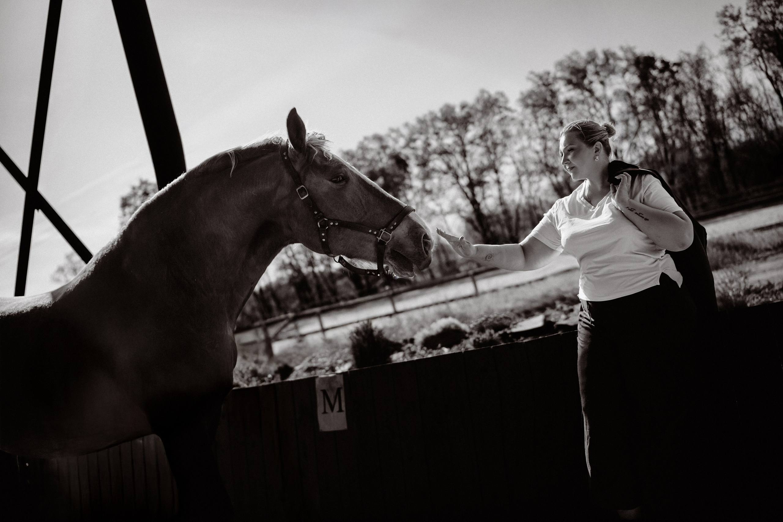 Маша и Боксер. Фотограф-анималист Ксендзова Кристина