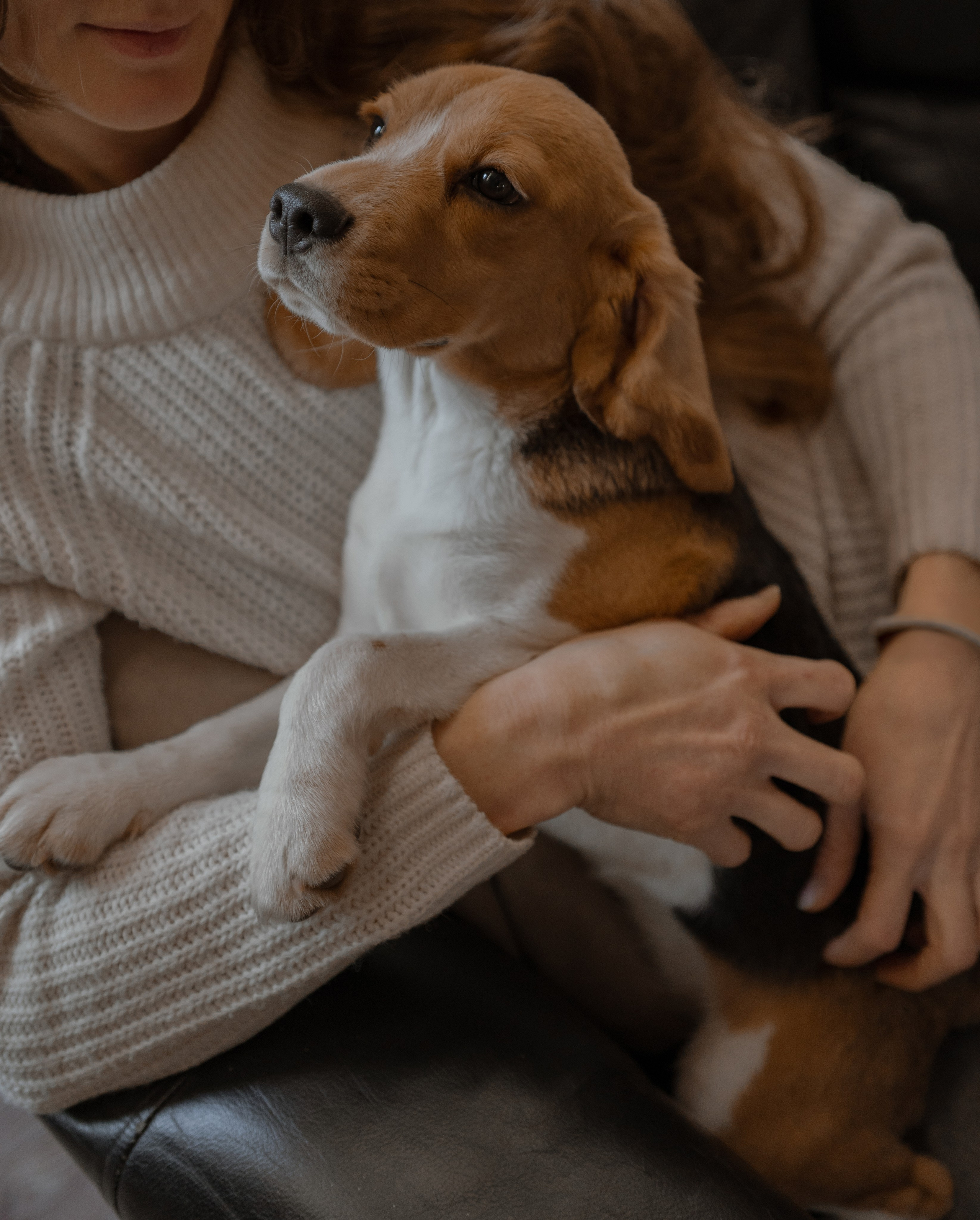 Маша, бигль Вера и её ферма. Семейный фотограф в Москве Алёна Чача