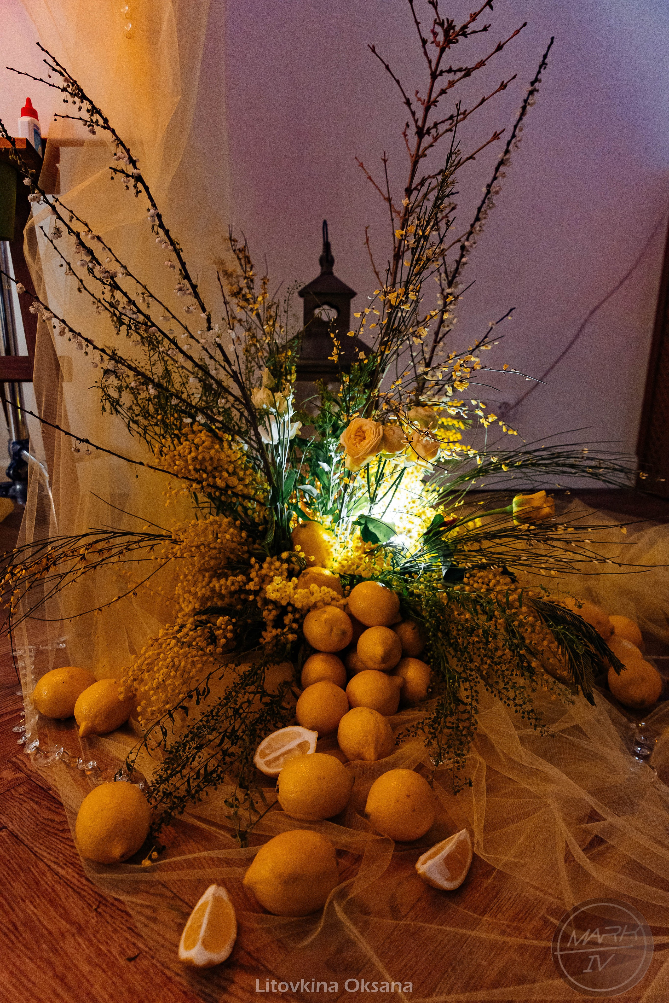 Открытие фотостудии Mark IV. Свадебный и репортажный фотограф МОСКВА