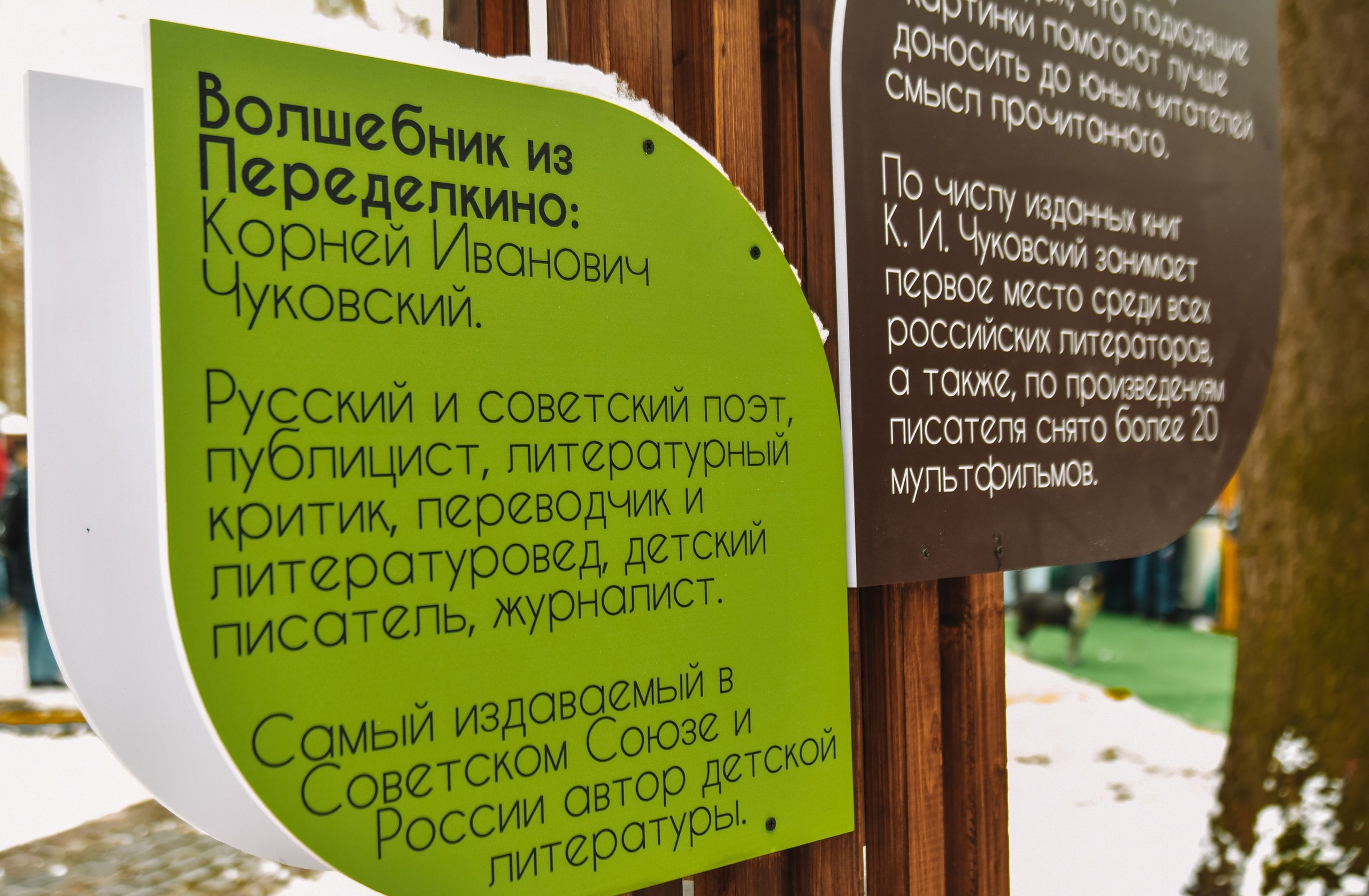 10 сосновых шишек. Kirillova Studio — мастерская декора и событий Юли Кирилловой