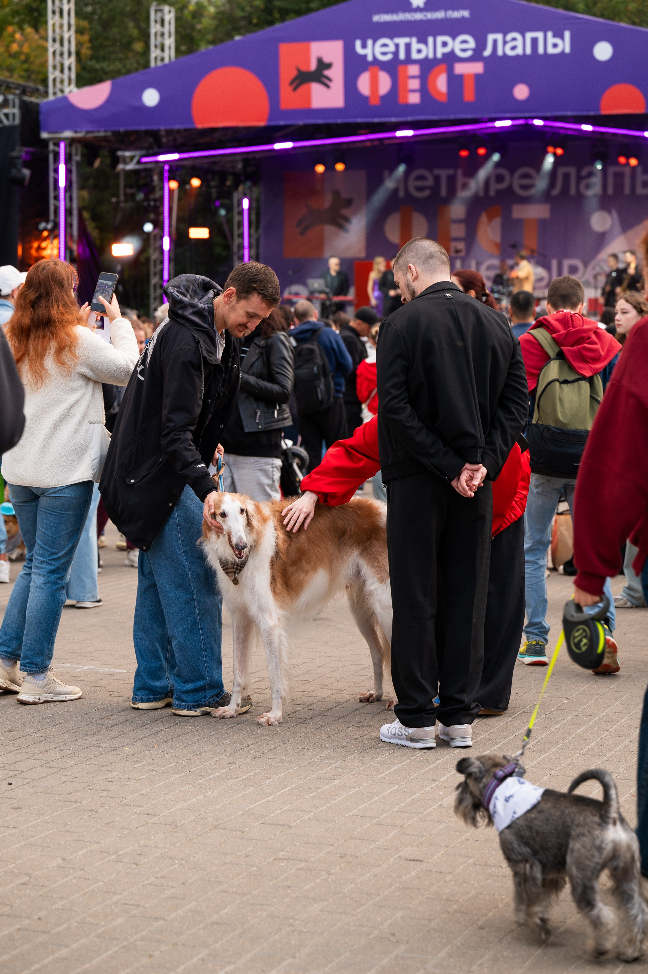 4lapy fest 2025. Photographer in Moscow Anna Chistiakova