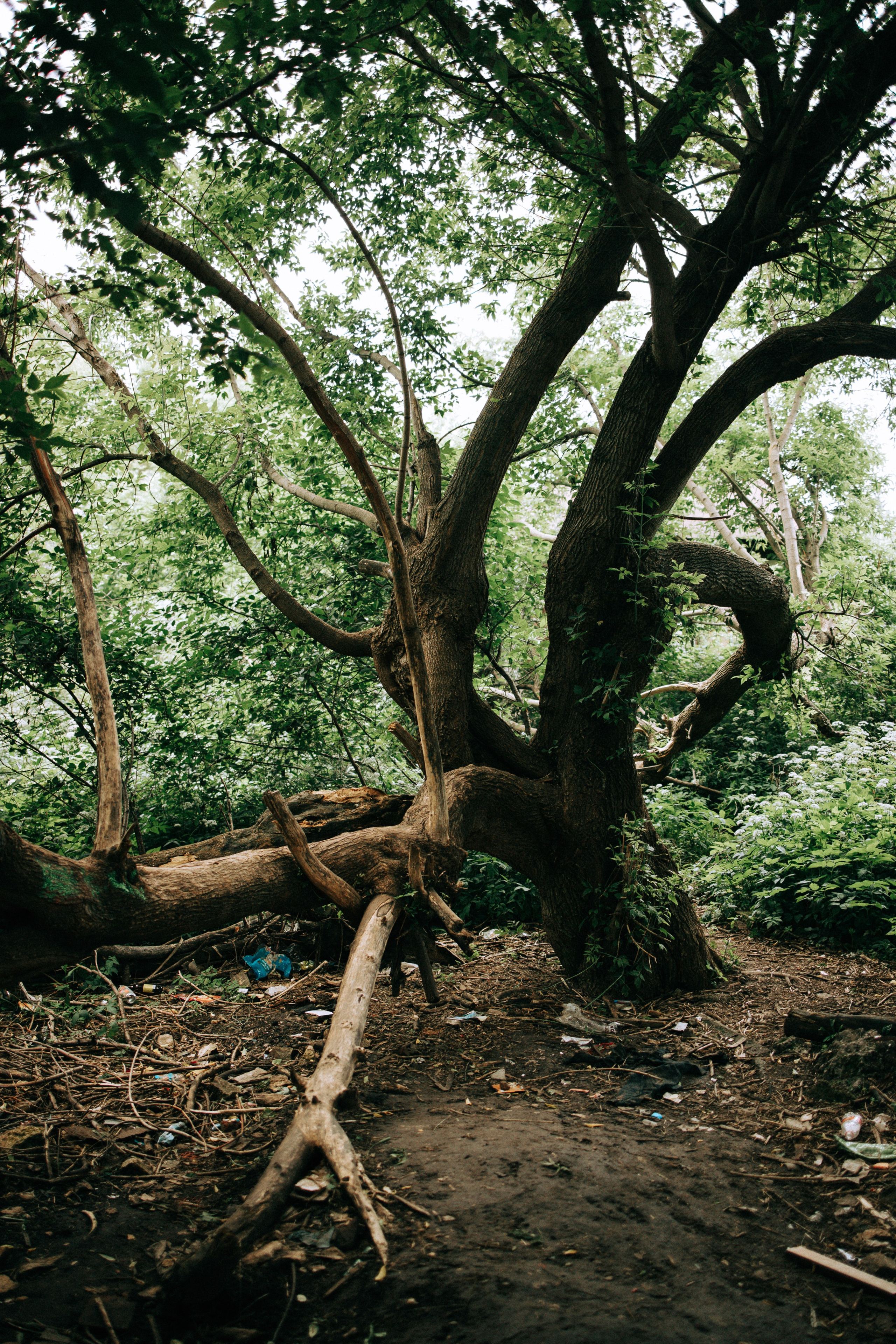 Прогулка по Криволучью. Свадебный и семейный фотограф в Туле и области Маша Костина