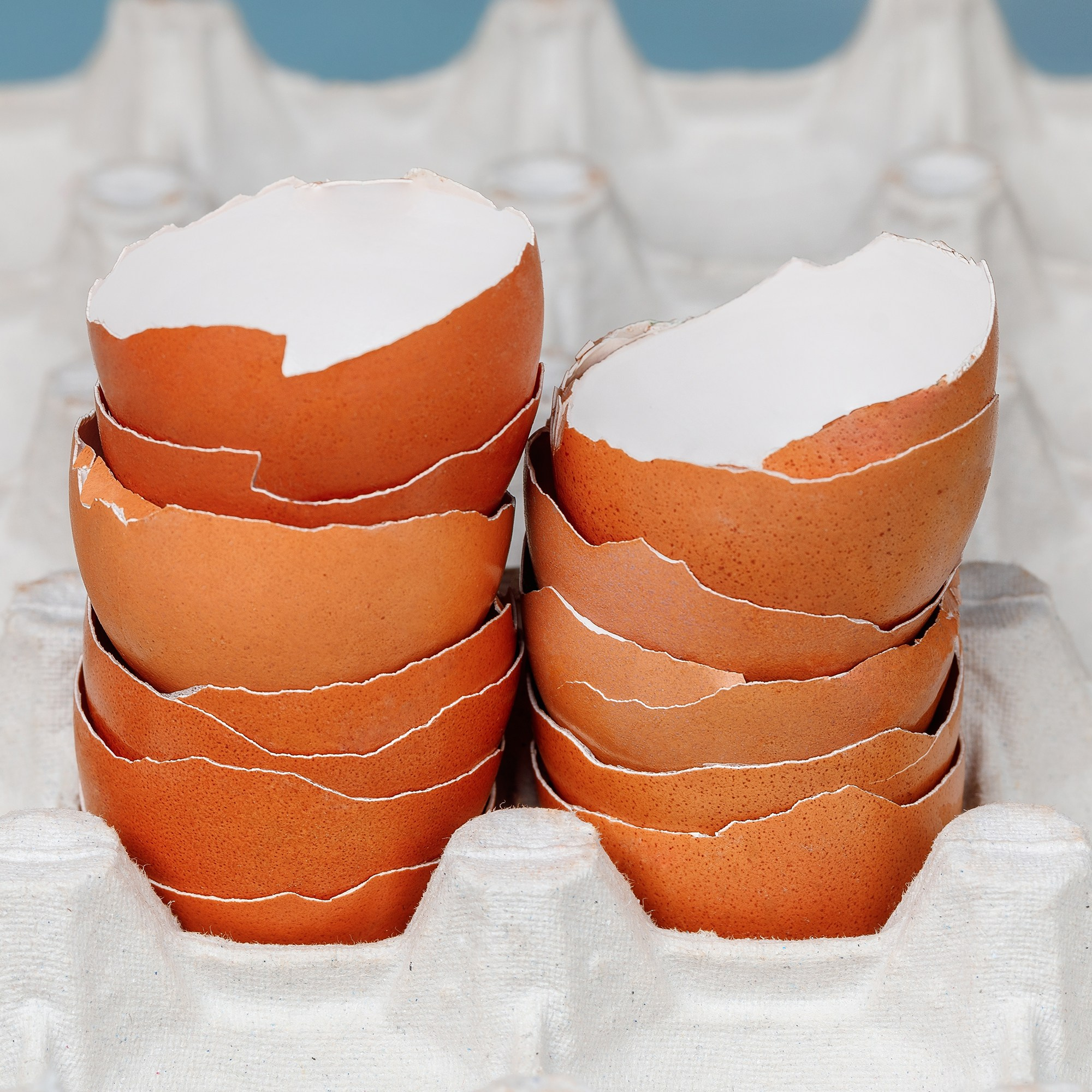 «Волжанин»