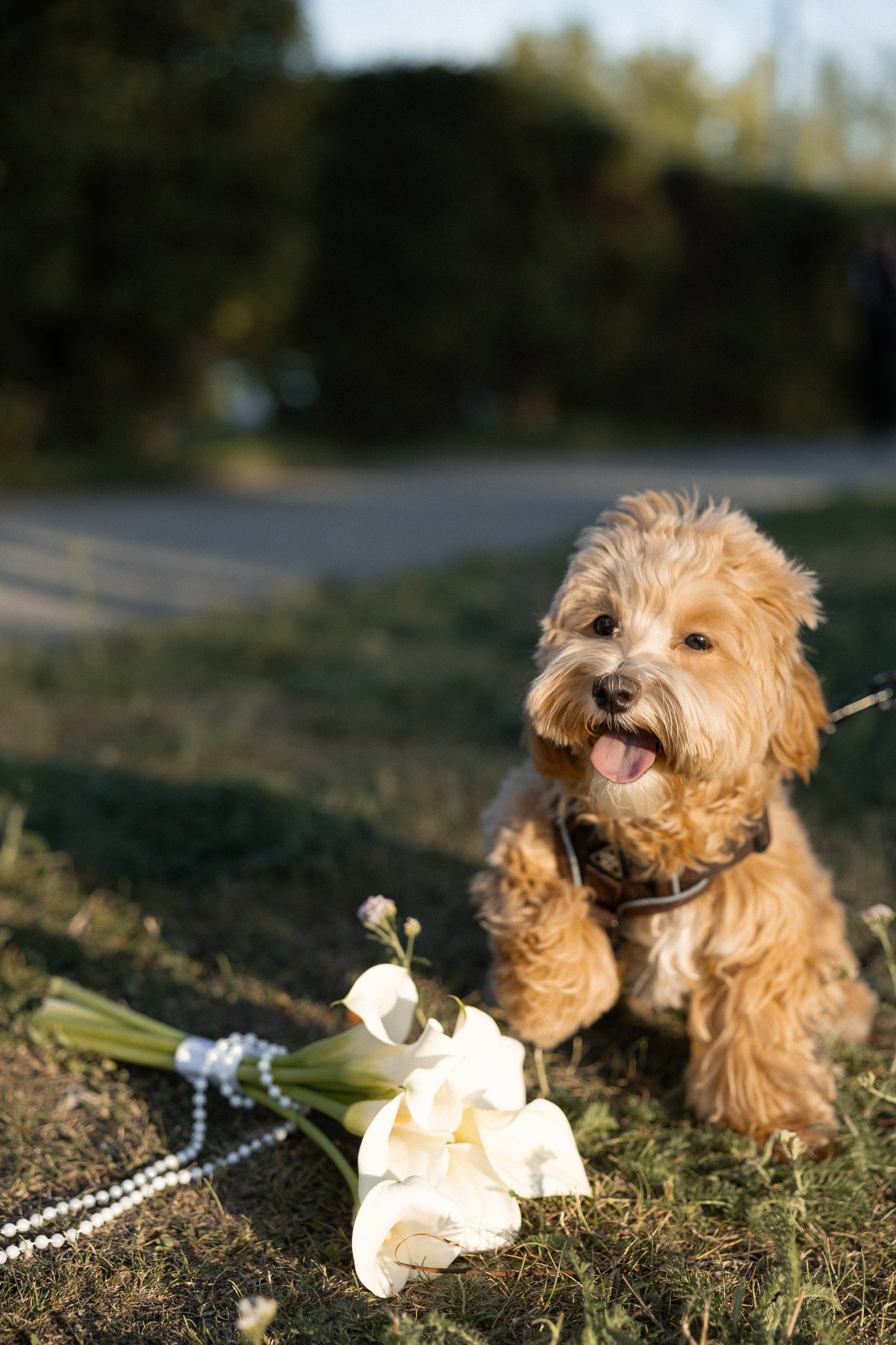 Евгений & Дарья. Фотограф Юлия Герасимова Иркутск