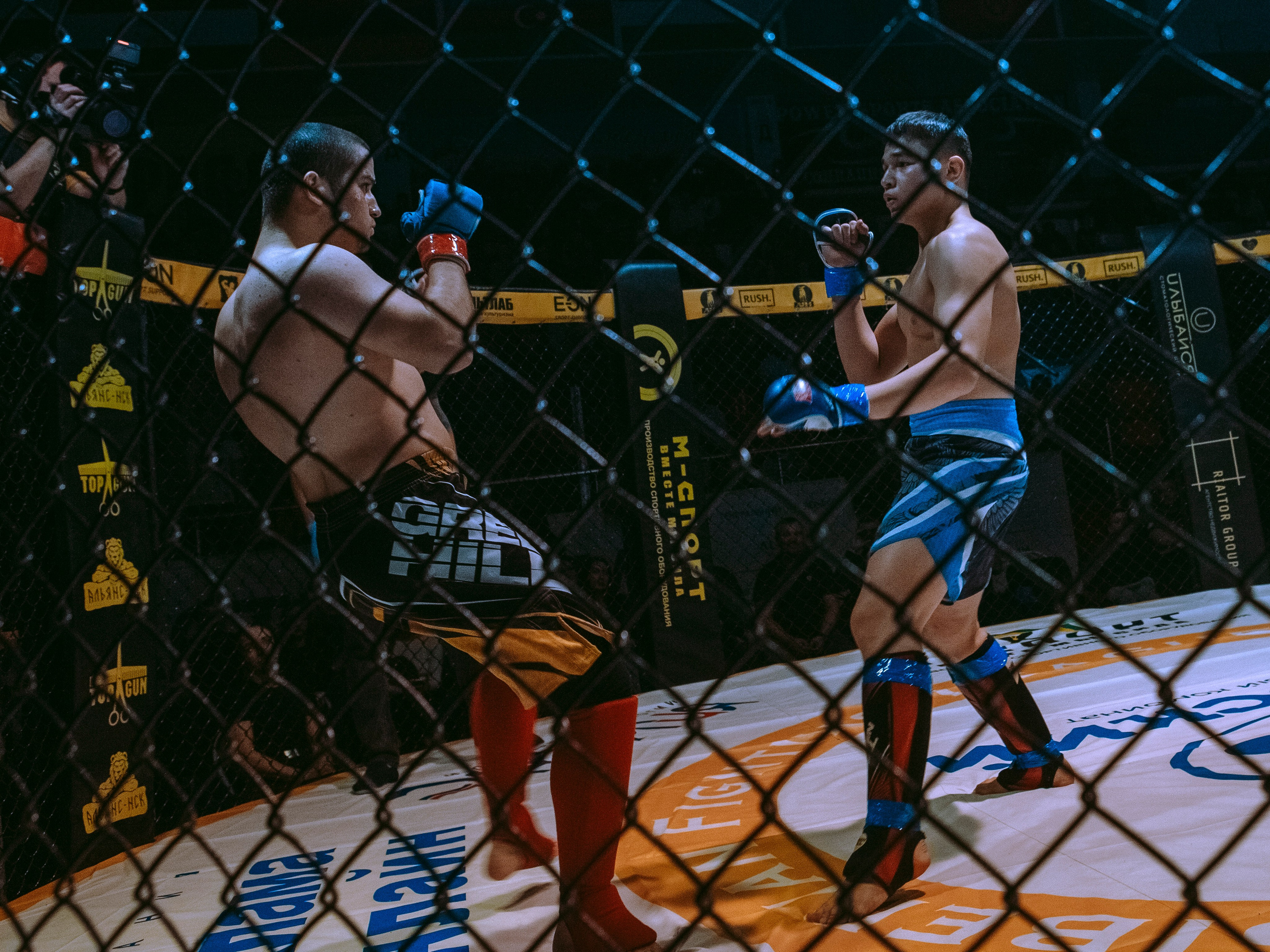 SFL 17 | Siberian Fighting League. Портретный фотограф в Москве Дарья Цезария