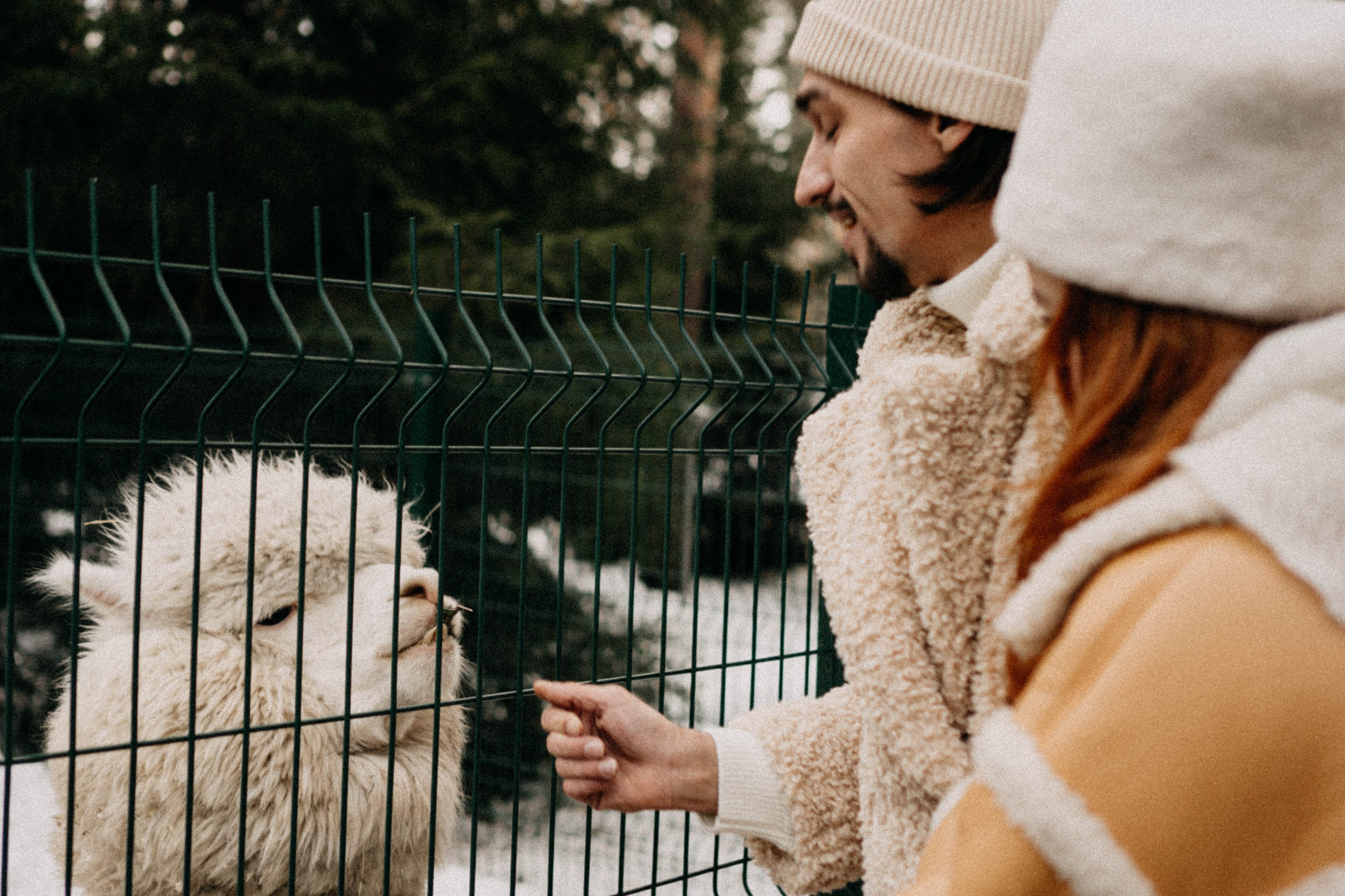 Каток. Профессиональный фотограф, Санкт-Петербург — Виктория Богомолова