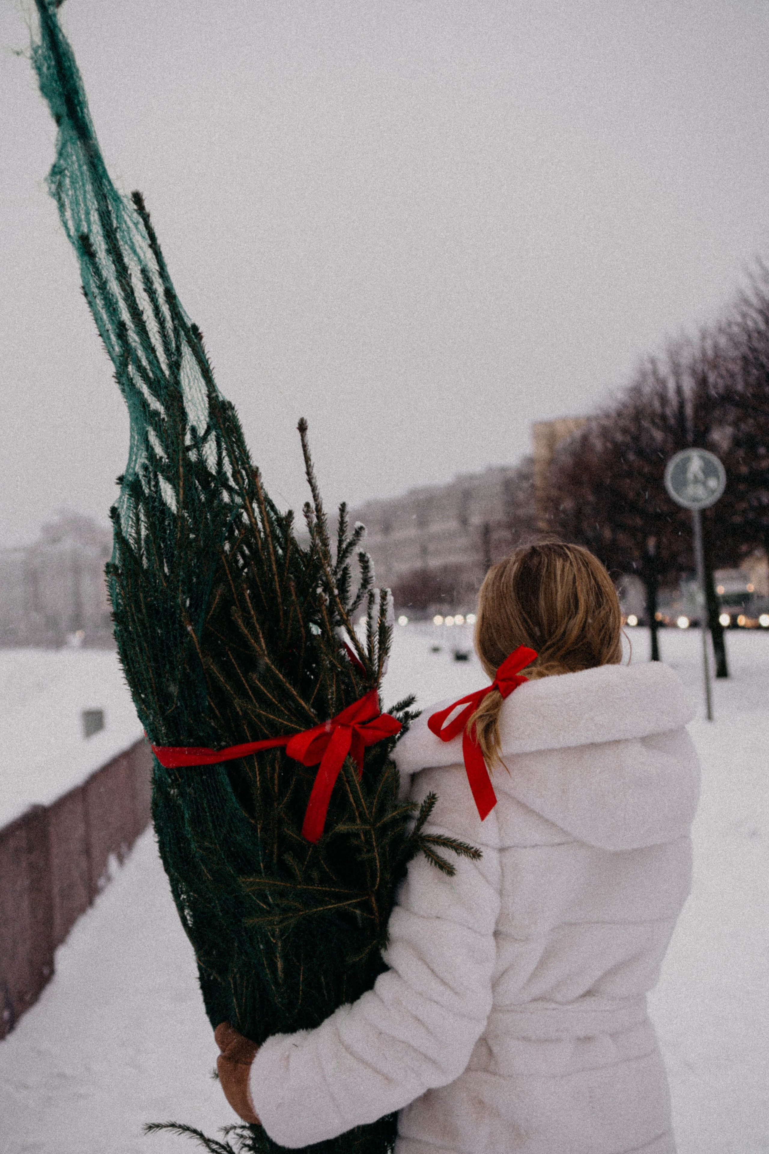 Новогодняя. Профессиональный фотограф, Санкт-Петербург — Виктория Богомолова