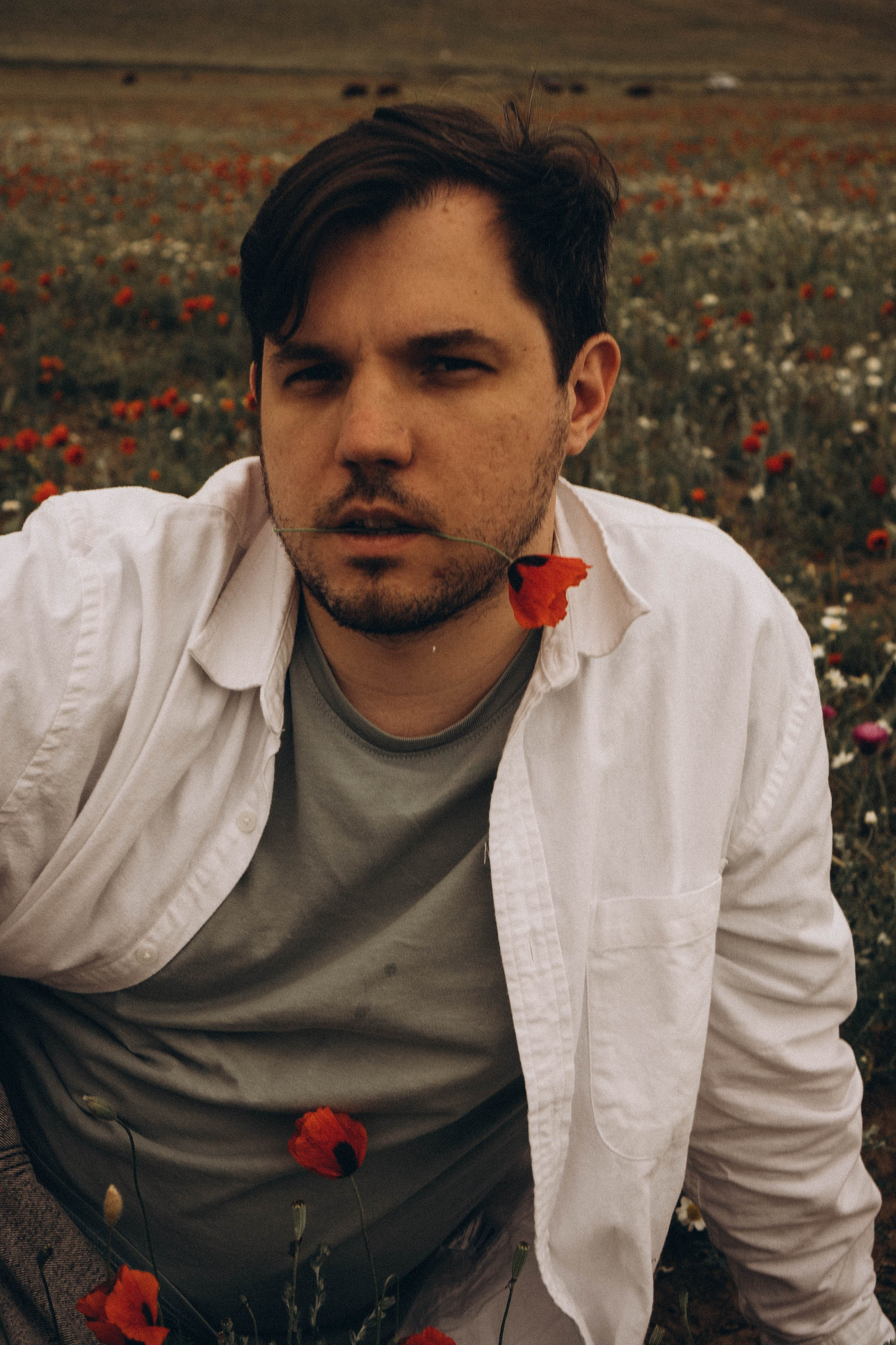 Маки. Профессиональный фотограф, Санкт-Петербург — Виктория Богомолова