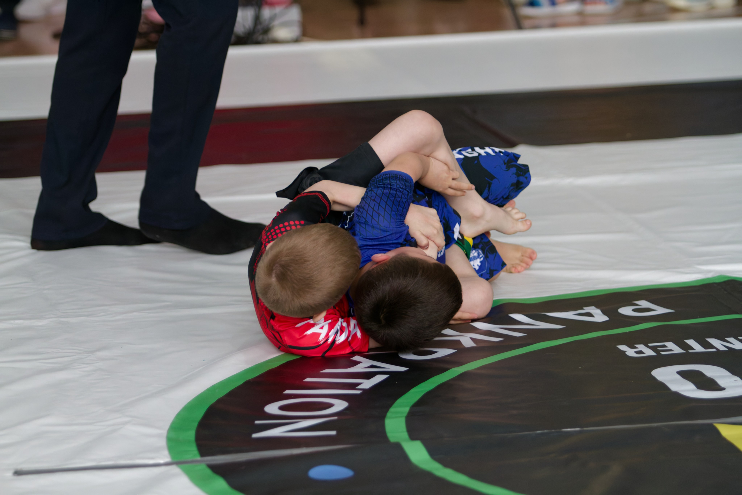 Борьба. Джиу-джитсу 26.04.2025. Репортажный и спортивный фотограф в г. Пермь Зильберг Павел